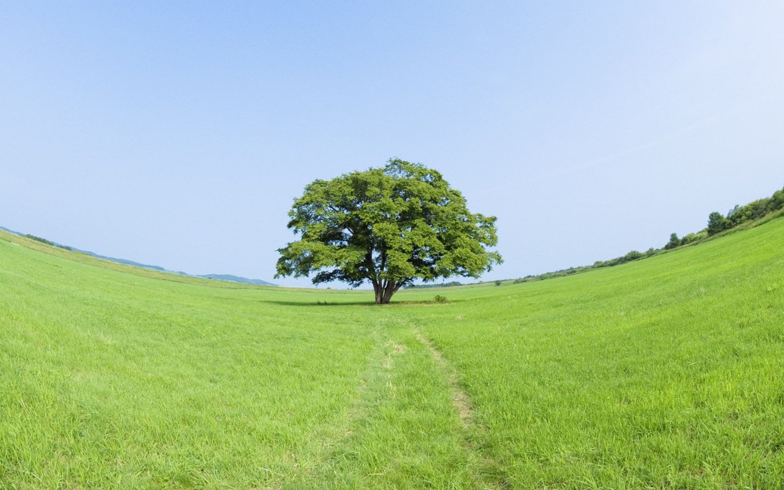 小清新,清新淡雅,蓝天白云,2月15日,绿色好心情,儿童桌面专用