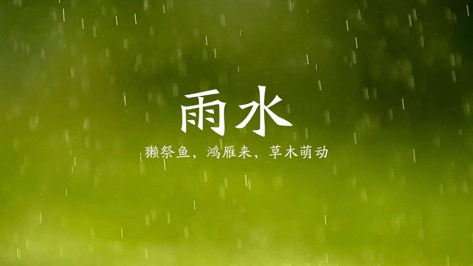 节日,节气,24节气,雨水,儿童桌面专用