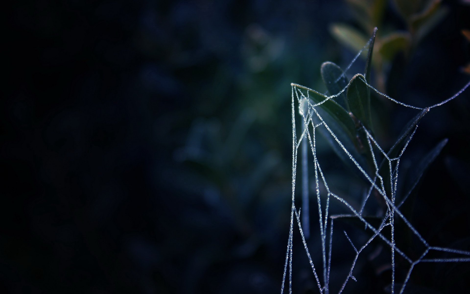 小清新,清新淡雅,2月22日