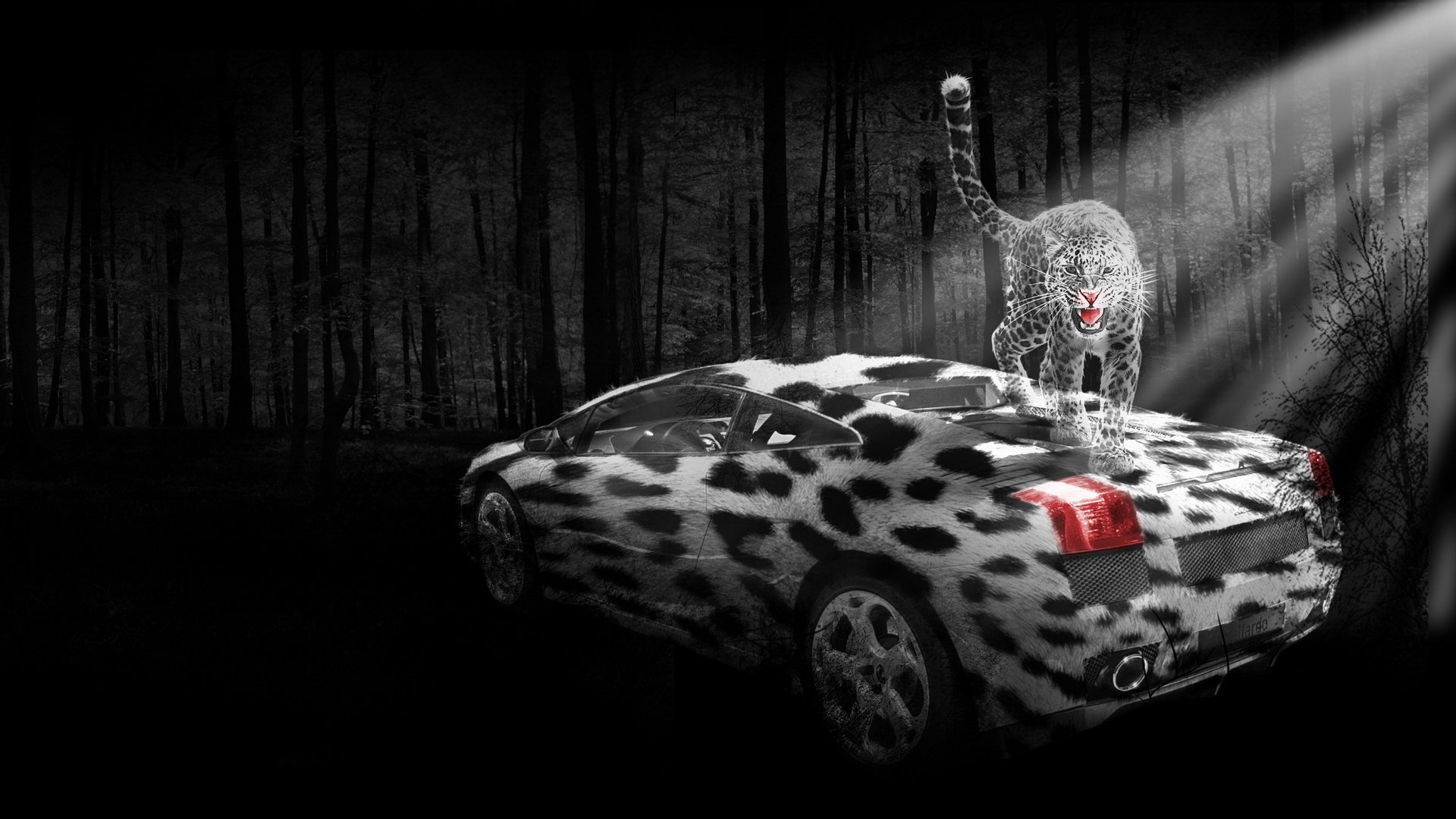 炫酷,设计,创意,2月21日,儿童桌面专用