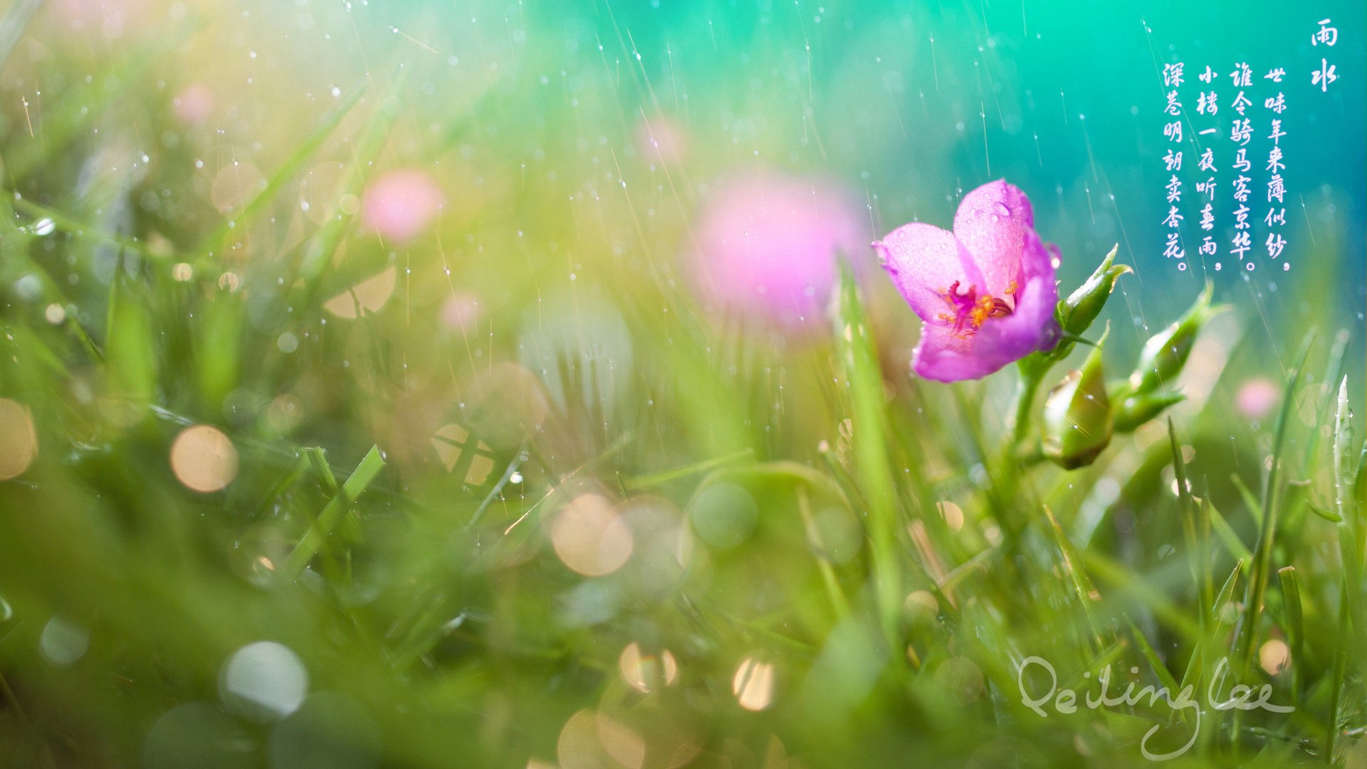 节日,节气,雨水,24节气,儿童桌面专用