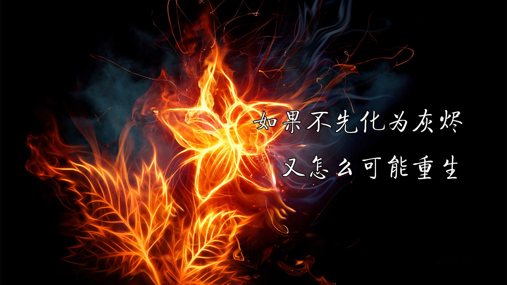 小清新,温馨一刻,励志,2月1日