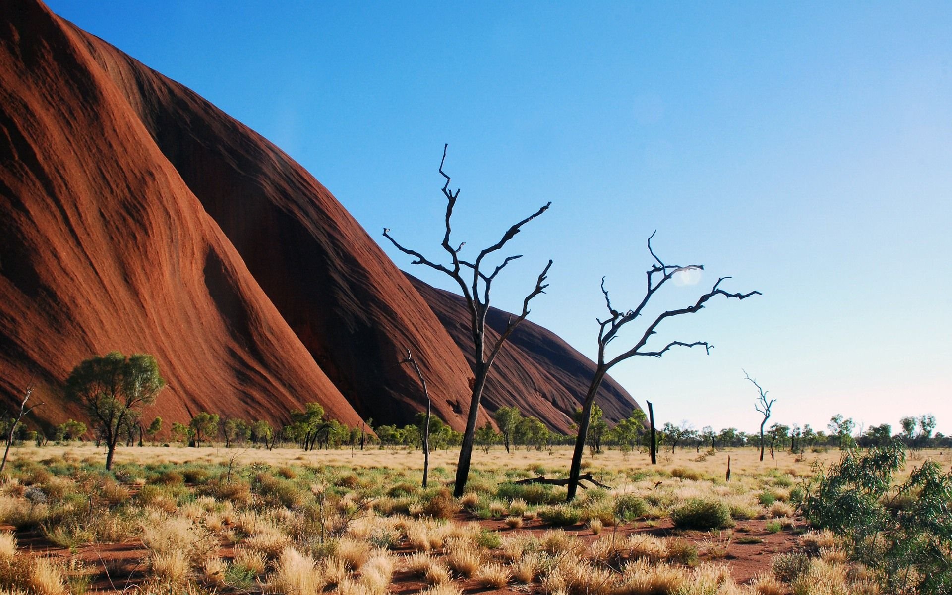 艾尔斯岩石,风景,风光,美景,旅游,自然,儿童桌面专用