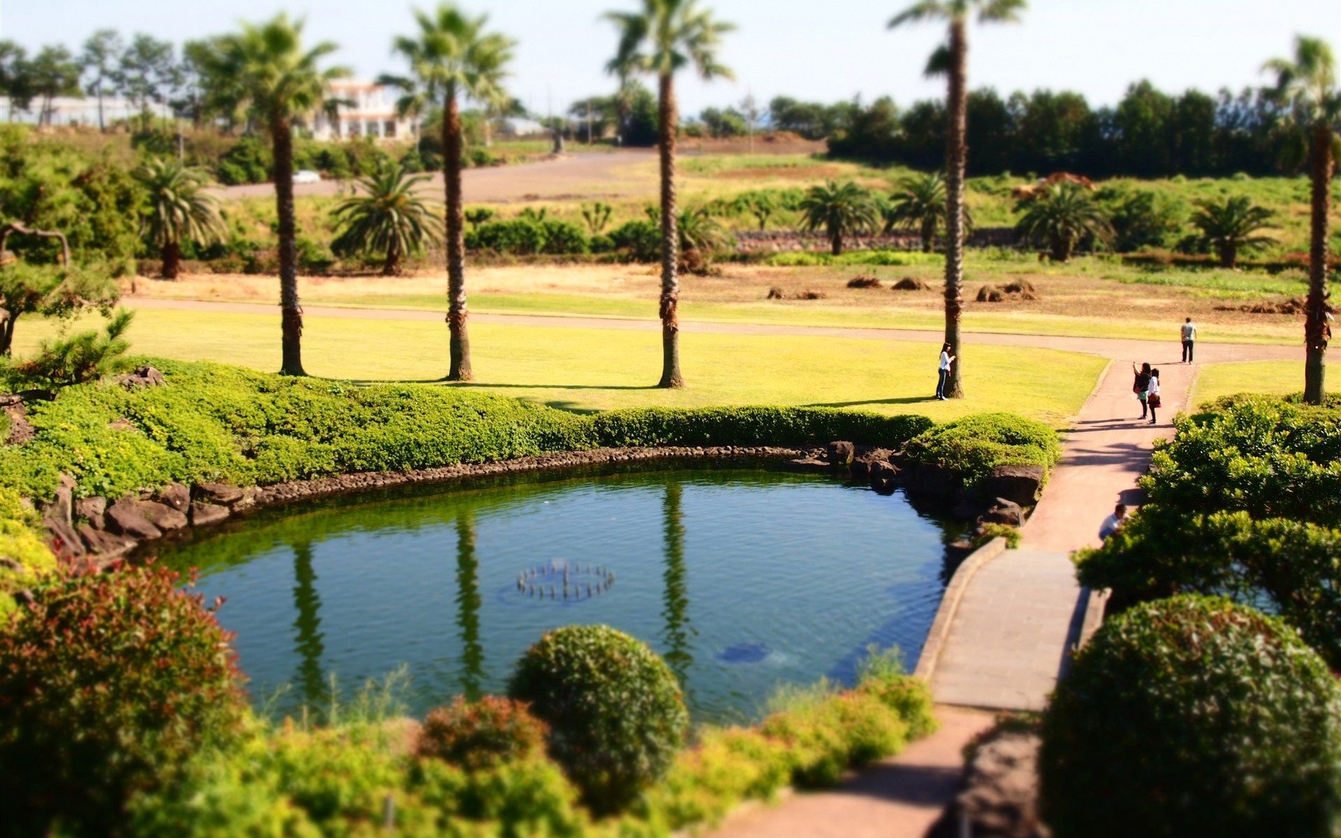 风景,美景,景色,韩国风光,韩国,儿童桌面专用