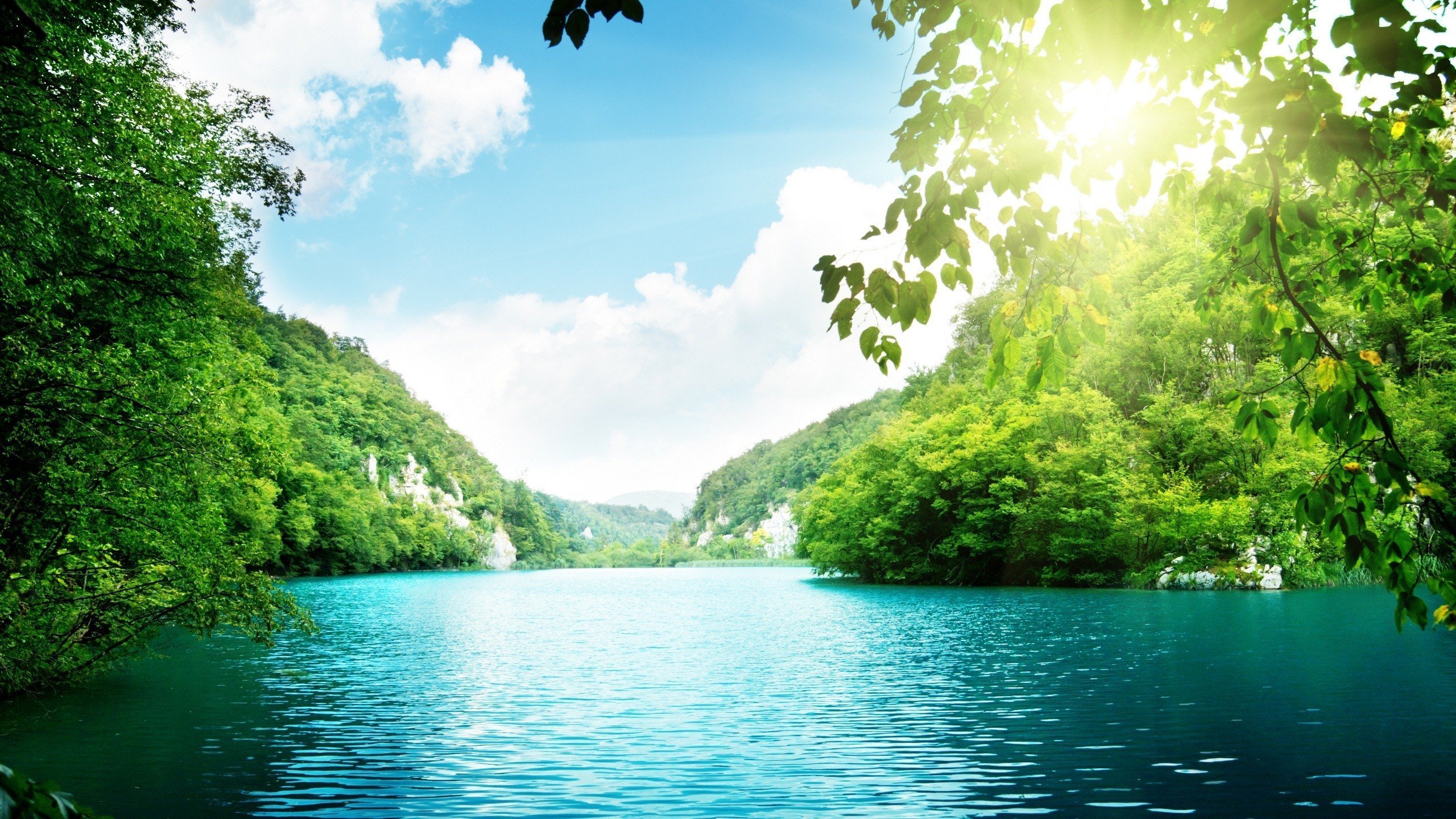 绿色,明媚,美景,旅游,自然,儿童桌面专用