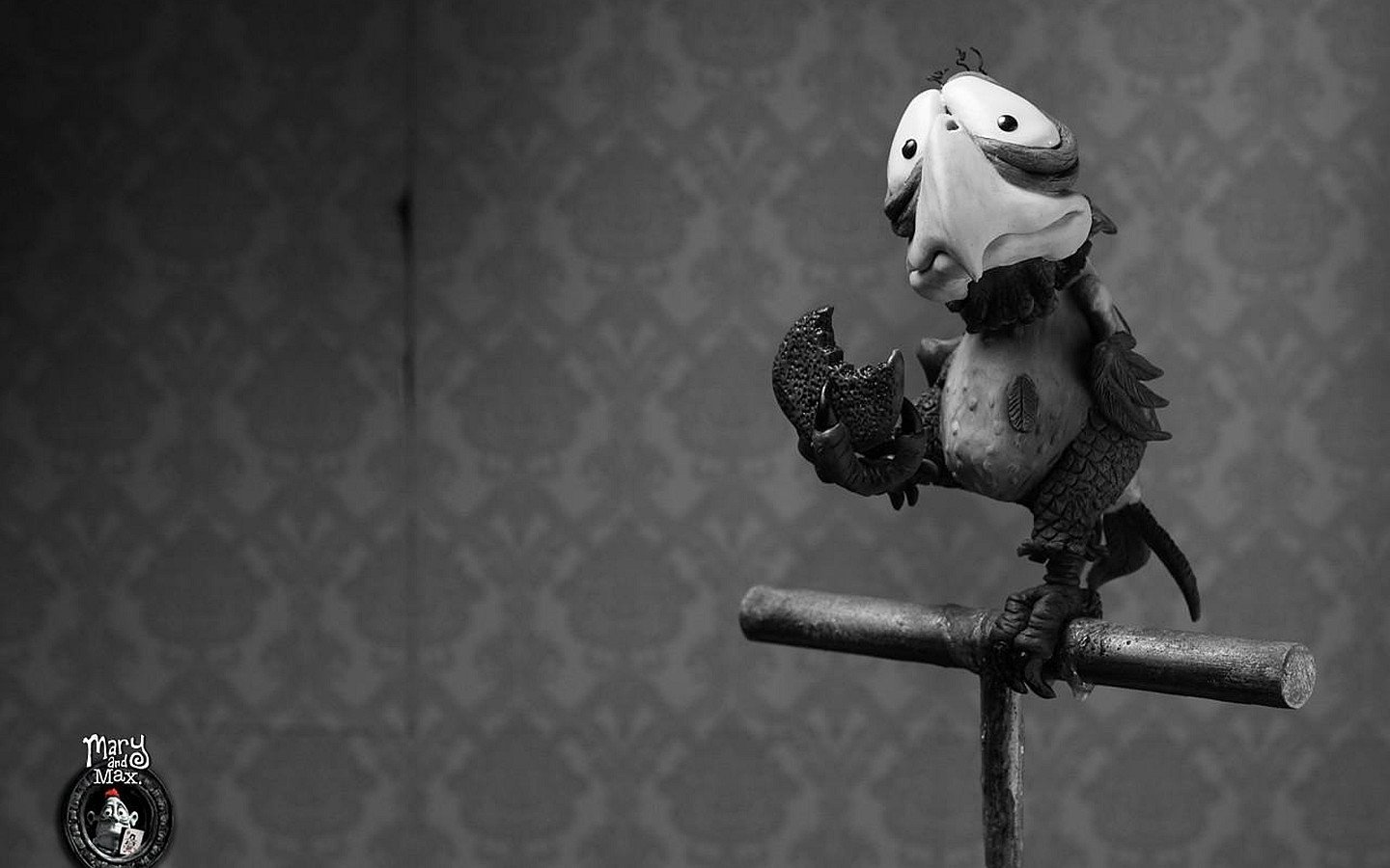 影视,玛丽和马克思,2月25日