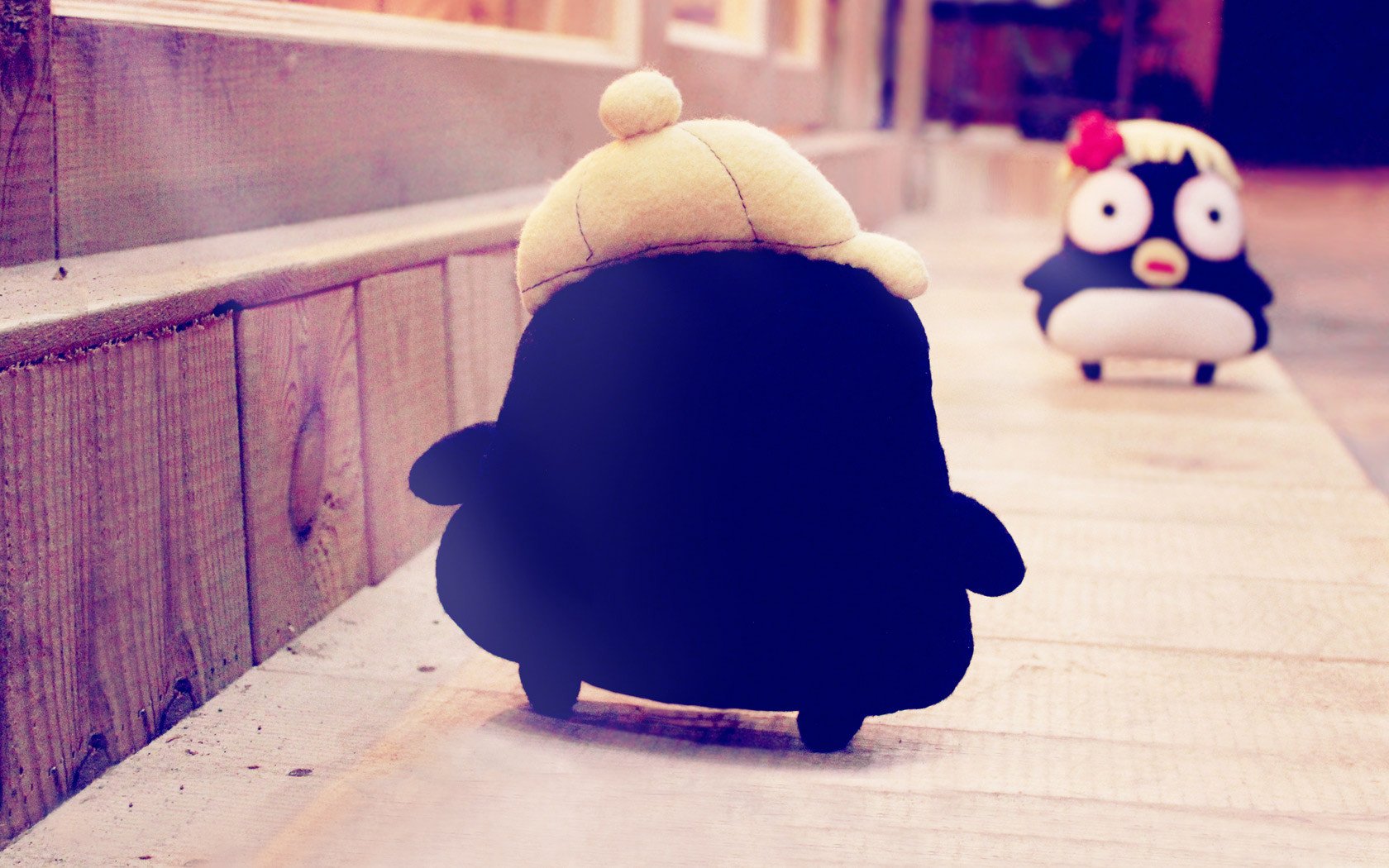 小清新,温馨一刻,2月1日,儿童桌面专用