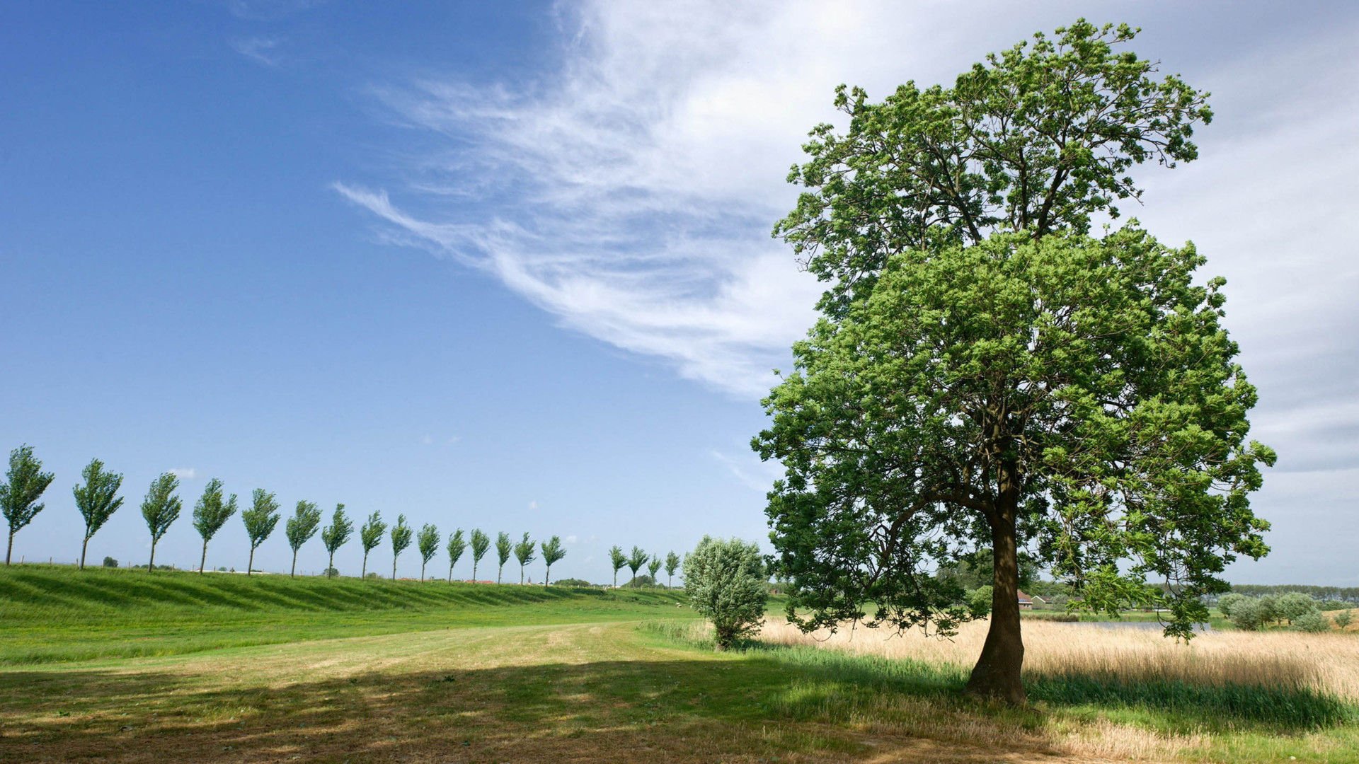 风景,风光,美景,旅游,自然,儿童桌面专用