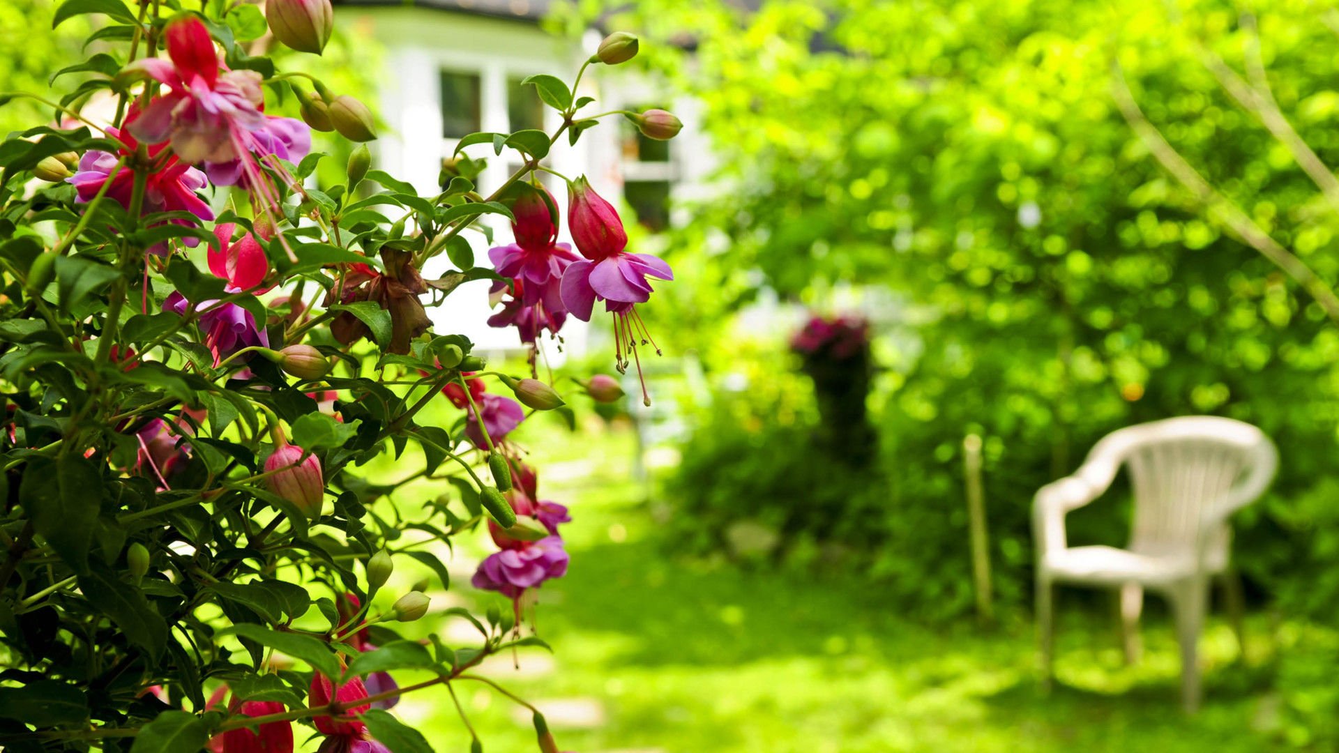 风景,风光,美景,旅游,自然,儿童桌面专用