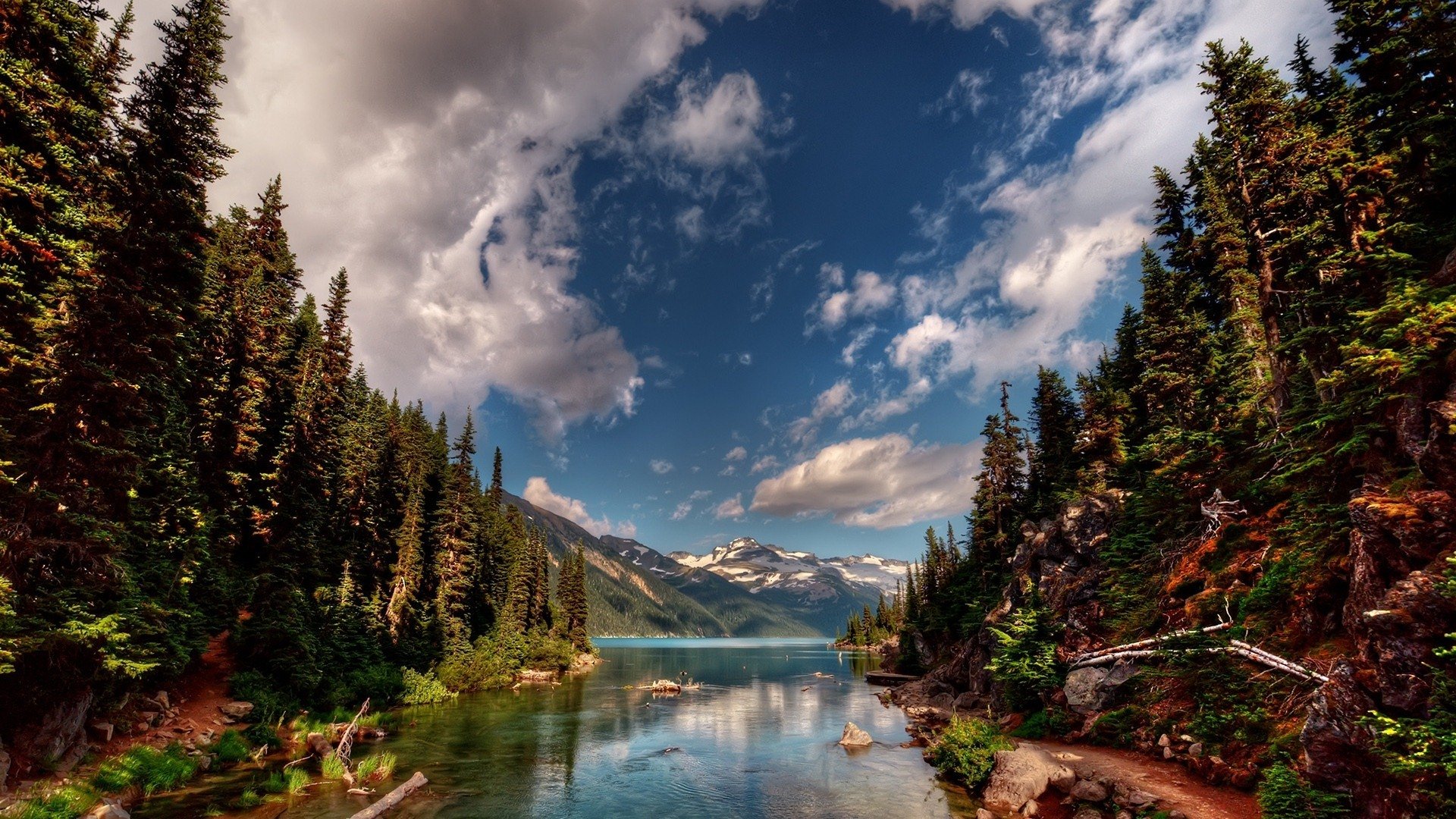 绿色,明媚,美景,旅游,自然,儿童桌面专用
