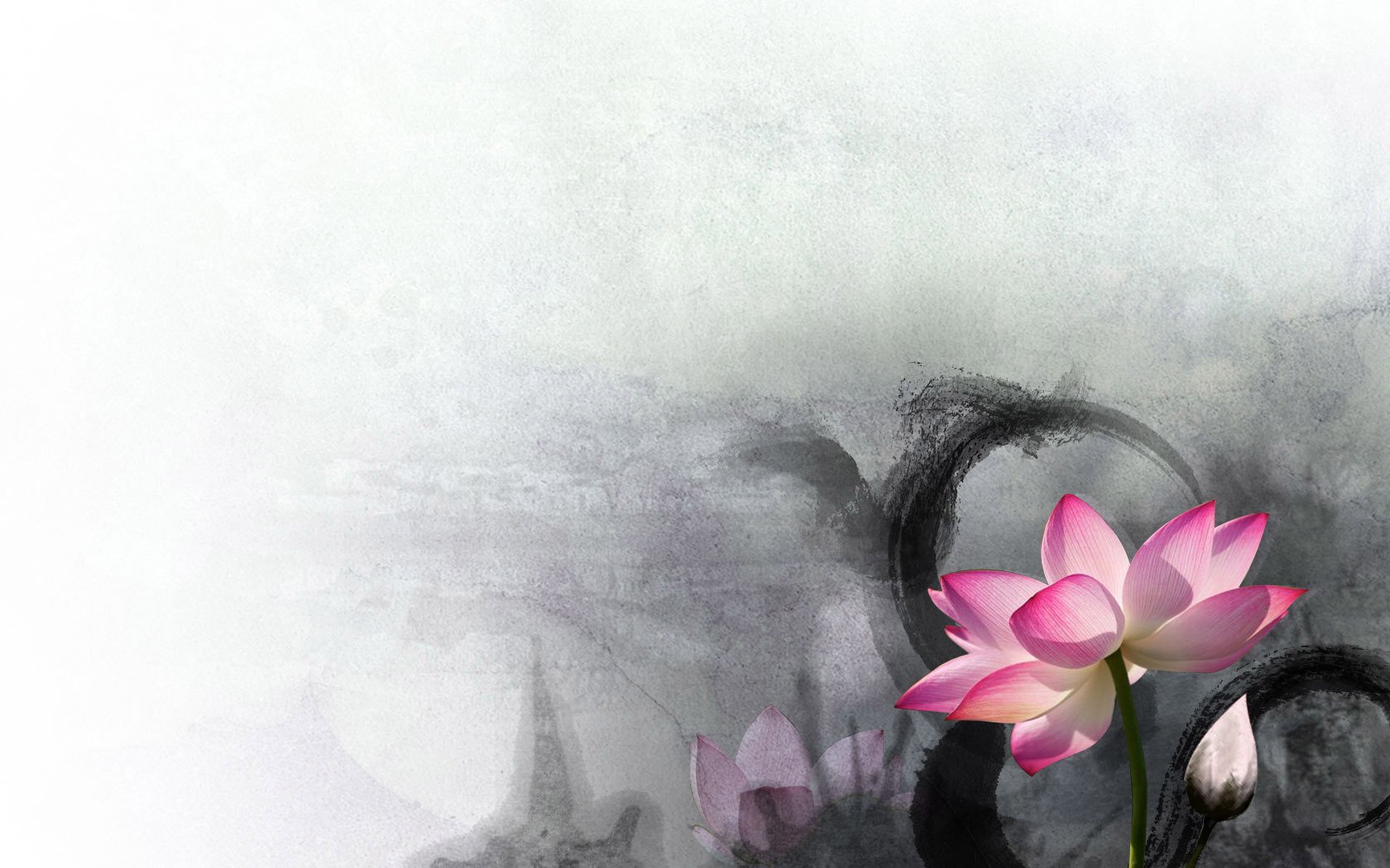 小清新,清新淡雅,中国风,荷花,2月19日,儿童桌面专用