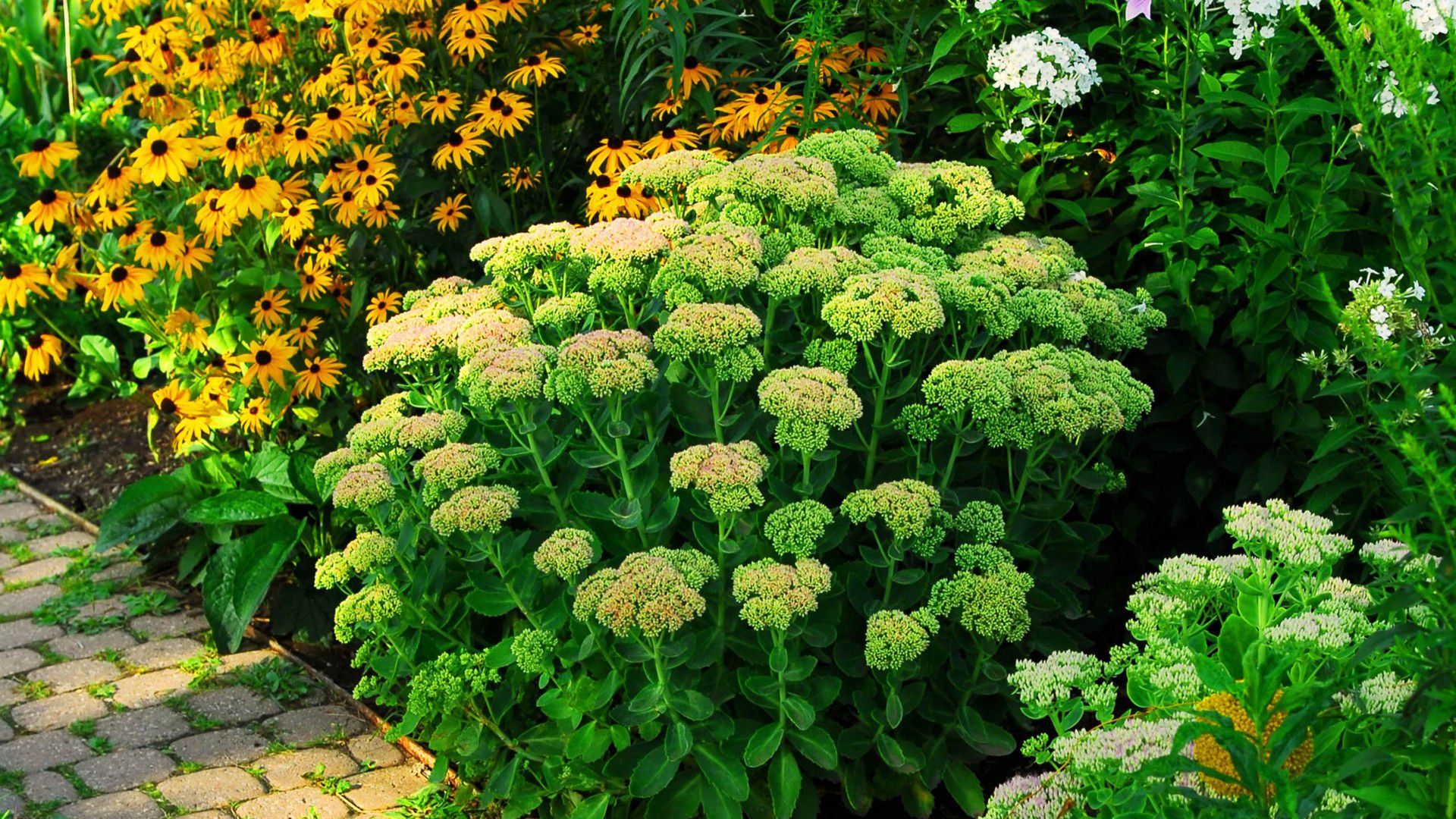 风景,风光,美景,旅游,自然,儿童桌面专用