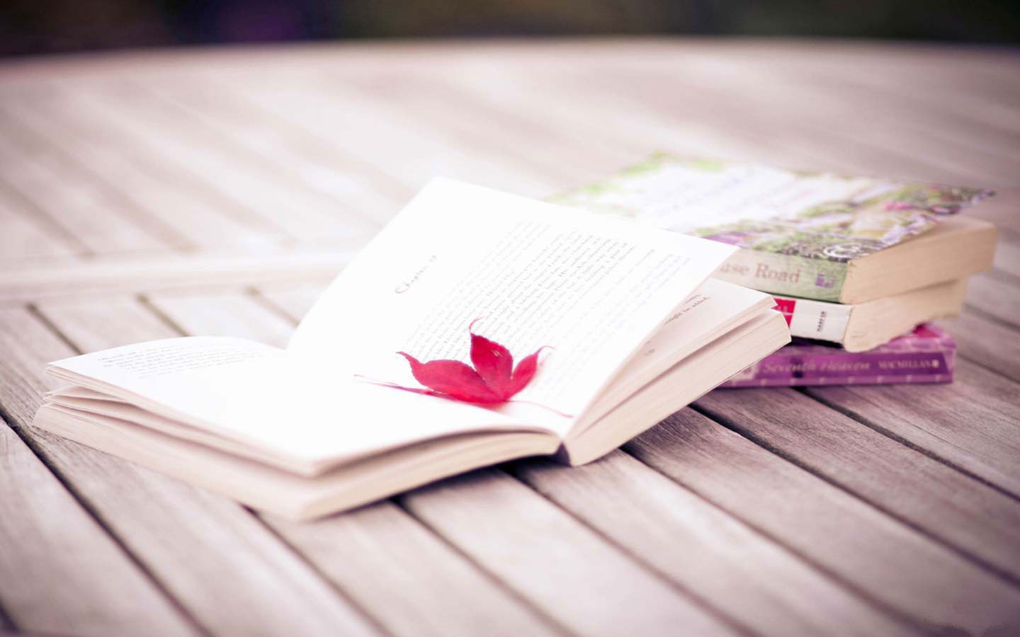 小清新,静物写真,书,2月6日,儿童桌面专用