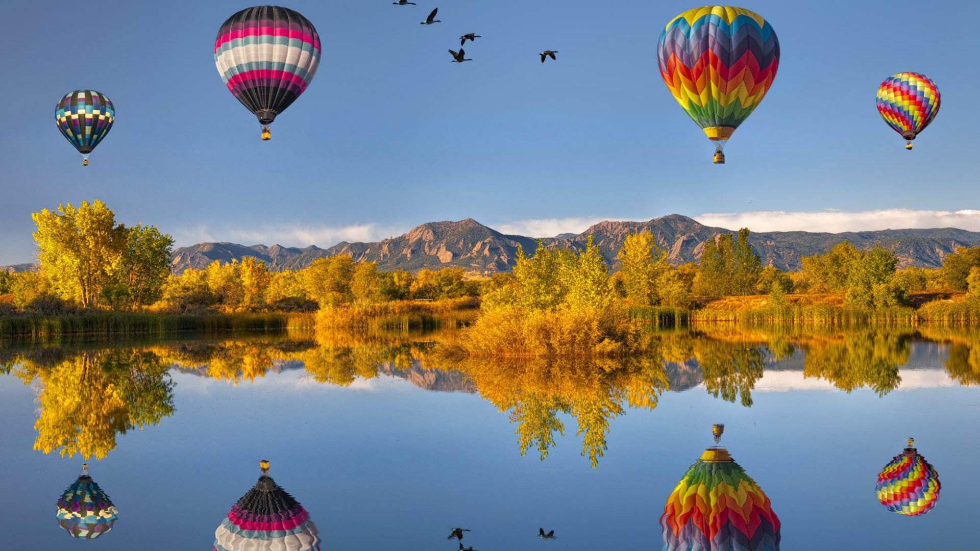 小清新,舒缓压力,热气球,2月10日,儿童桌面专用