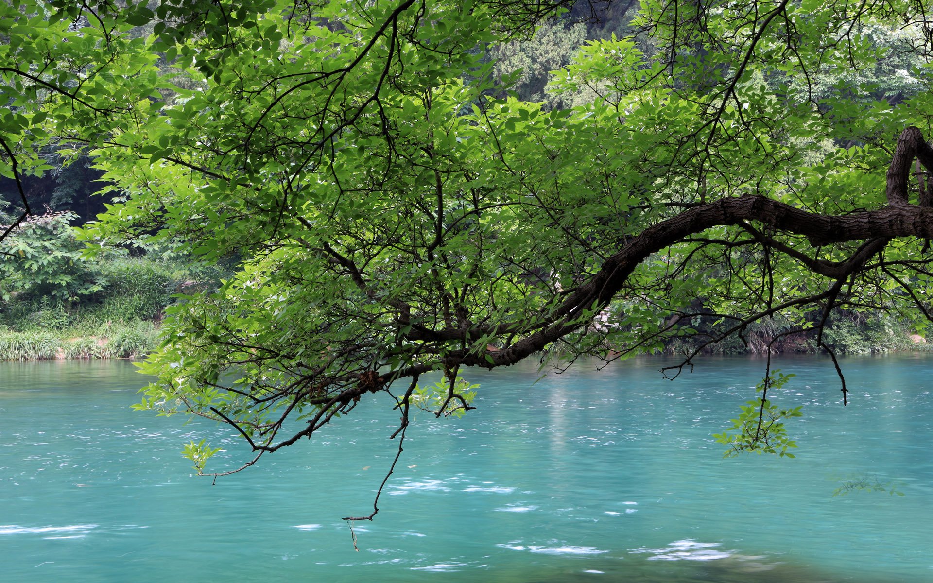 水,河流,清新,景象,风景,风光,美景,旅游,自然,儿童桌面专用