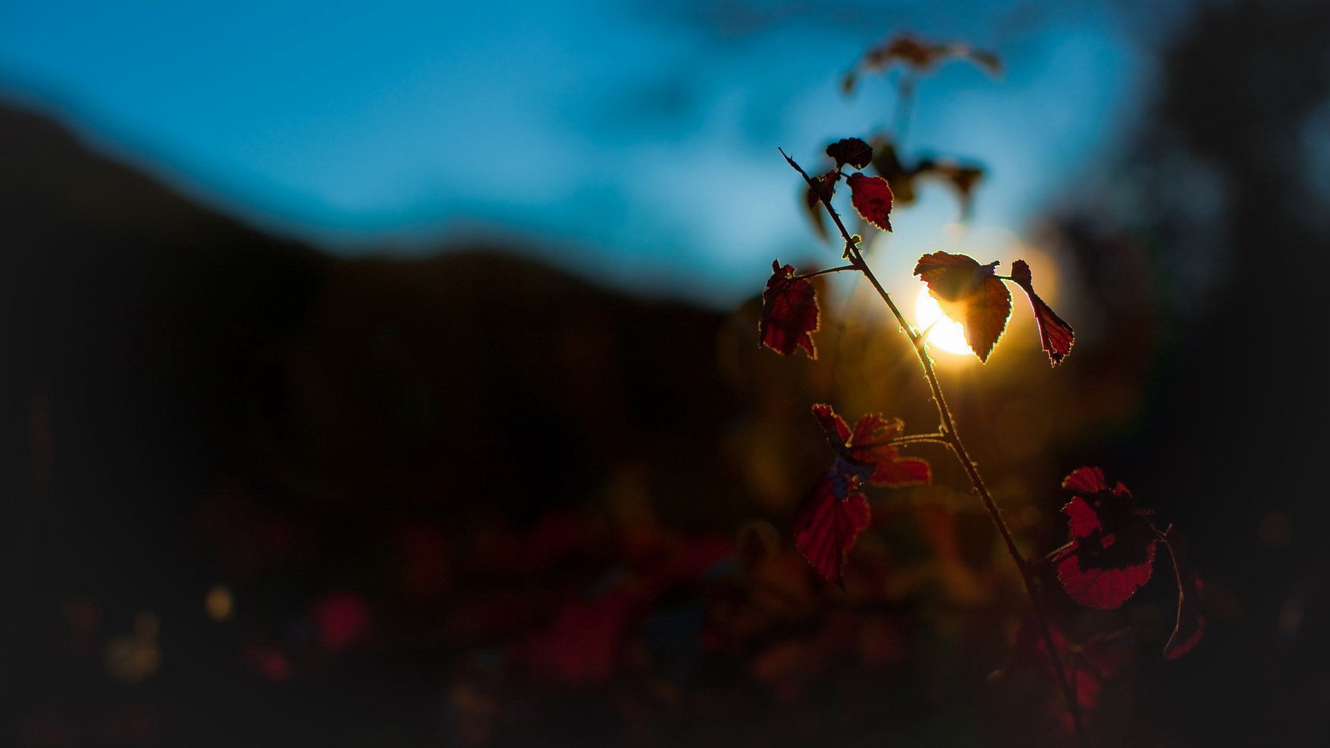 小清新,舒缓压力,1月31日