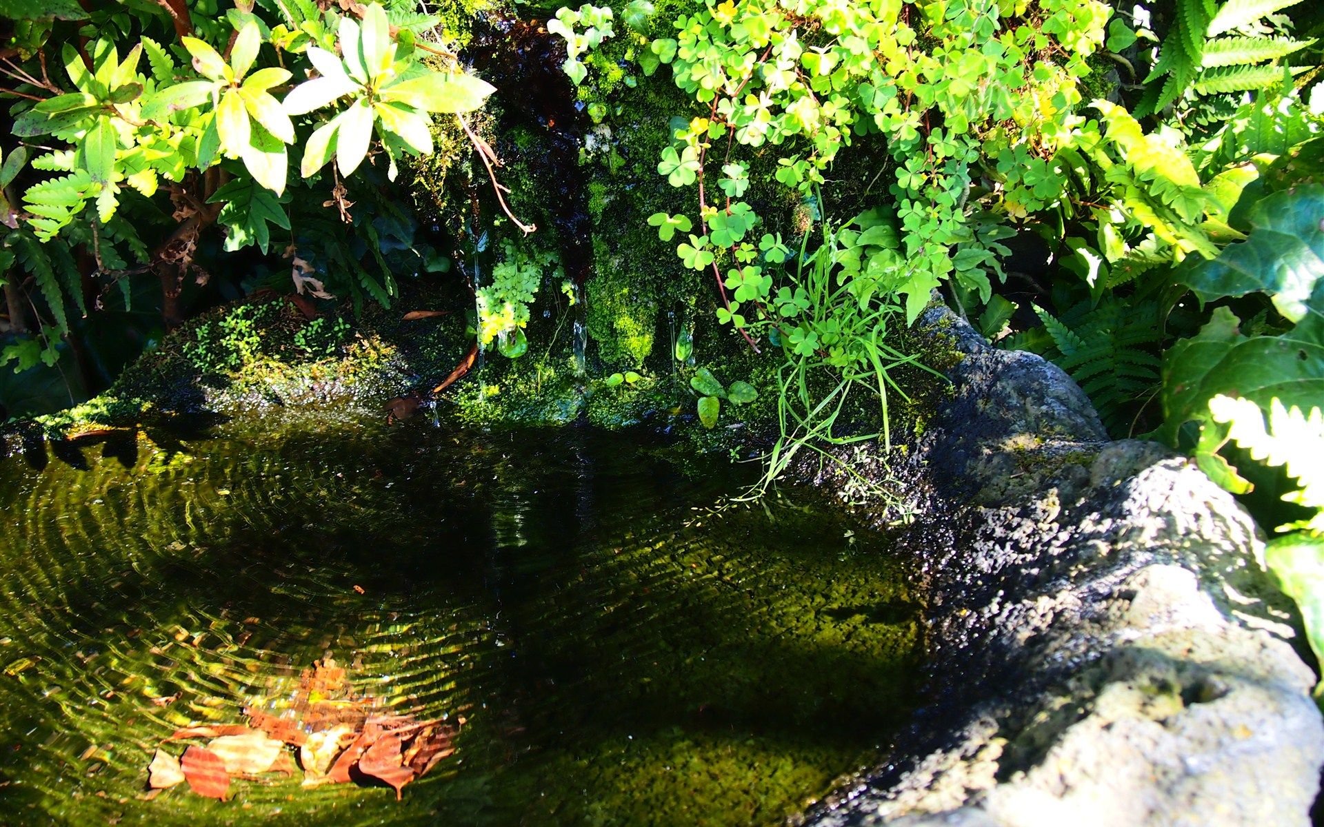 风景,美景,景色,韩国风光,韩国,儿童桌面专用