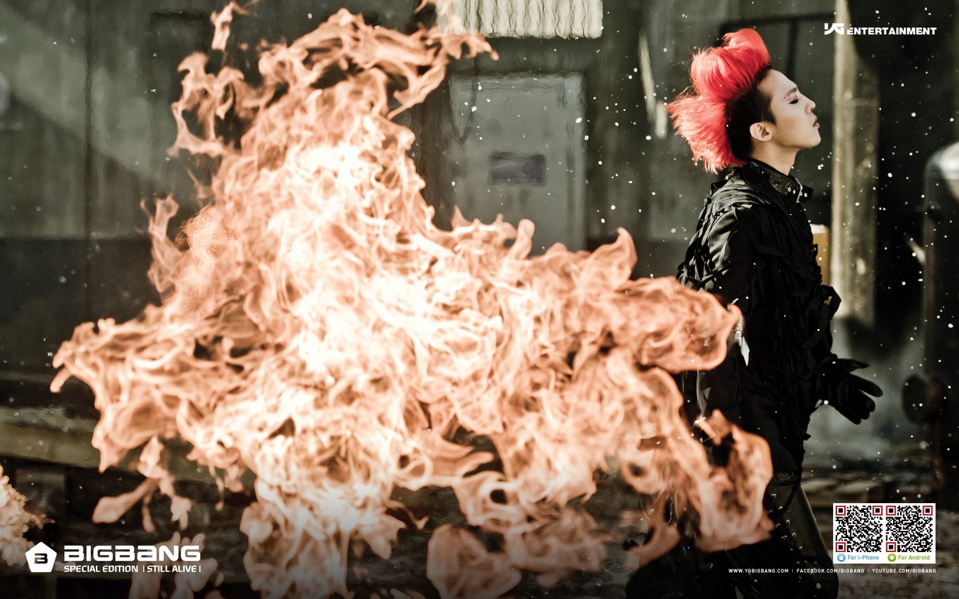 日韩,男明星,BigBang,偶像团体,2月25日