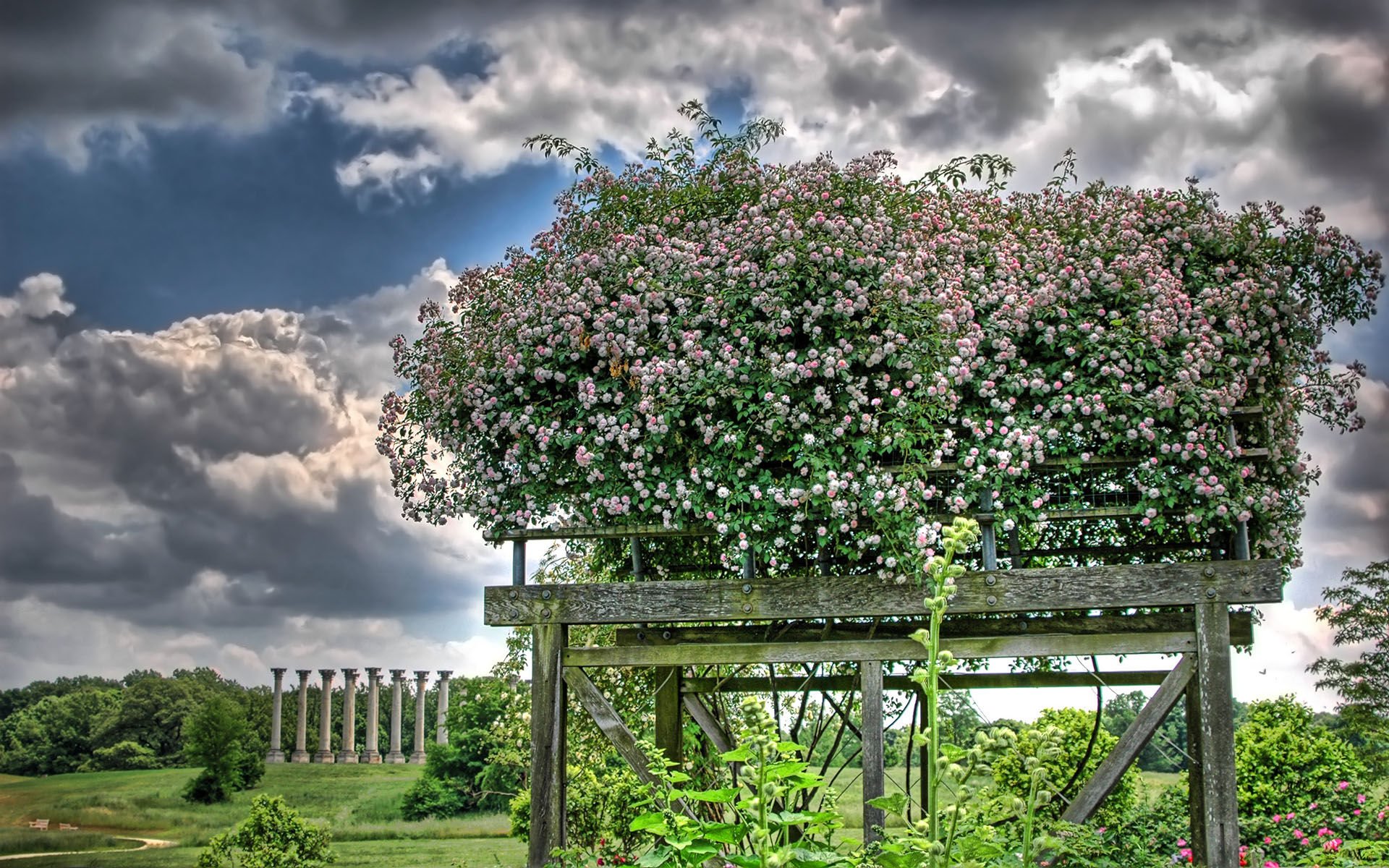 风景,风光,美景,旅游,自然,儿童桌面专用