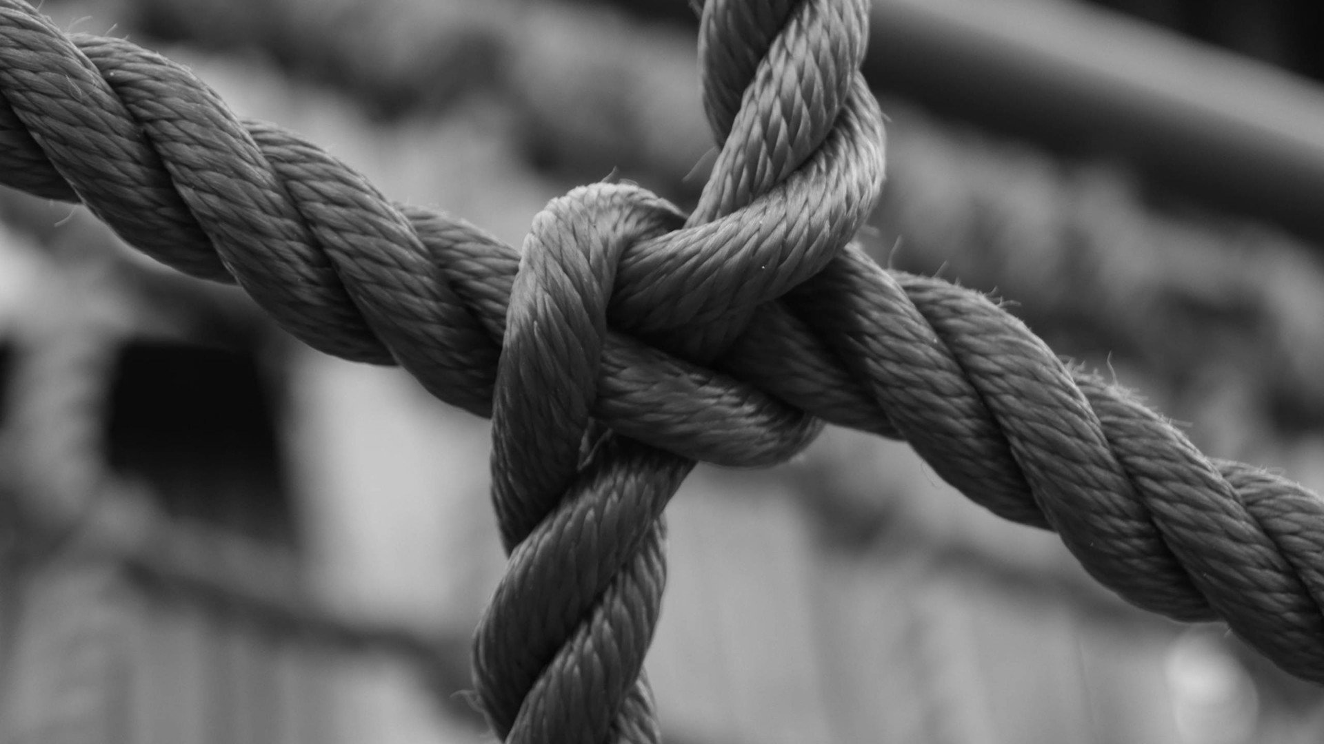 小清新,静物写真,绳子,2月4日