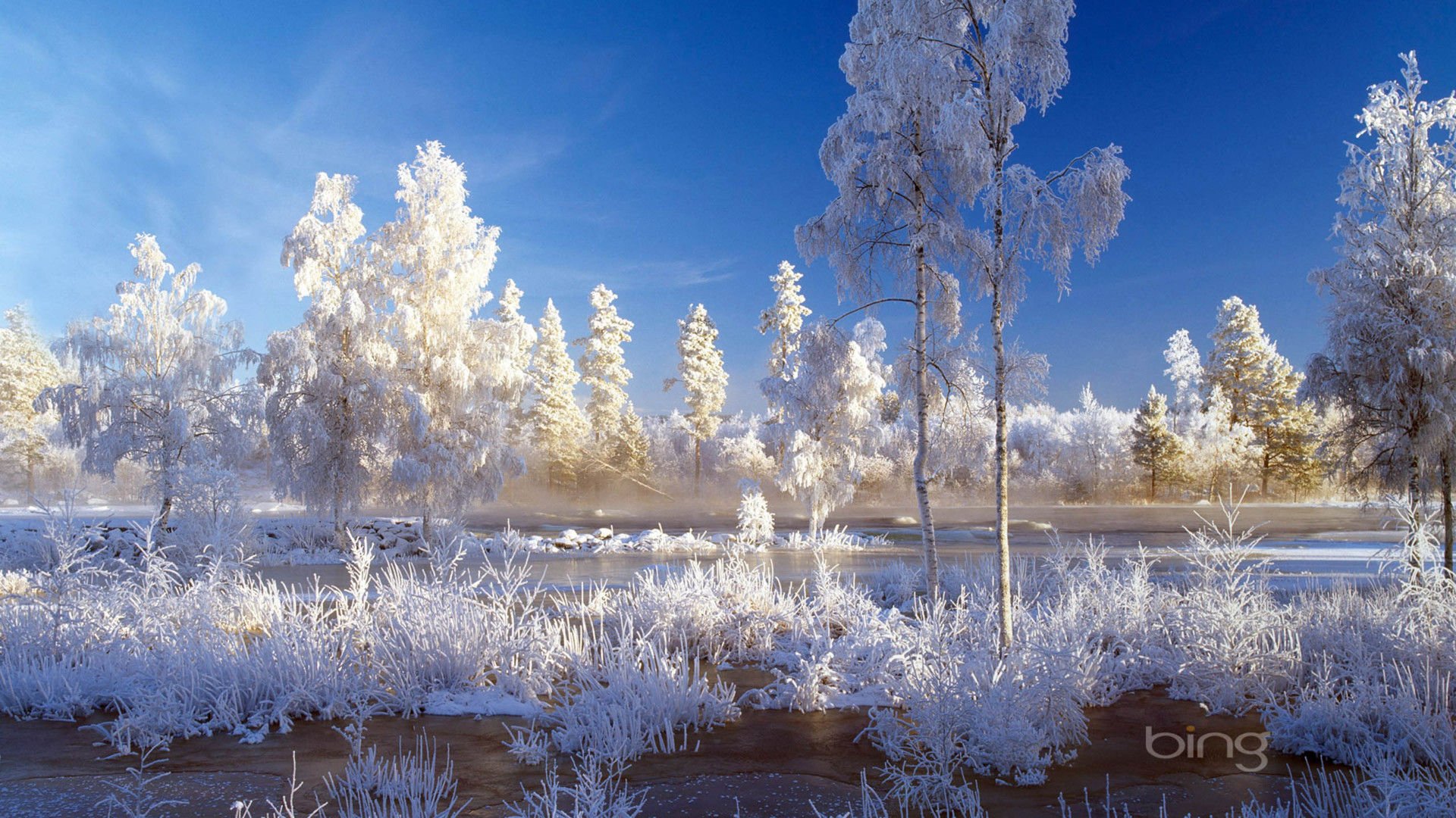 风景,风光,美景,旅游,自然,儿童桌面专用