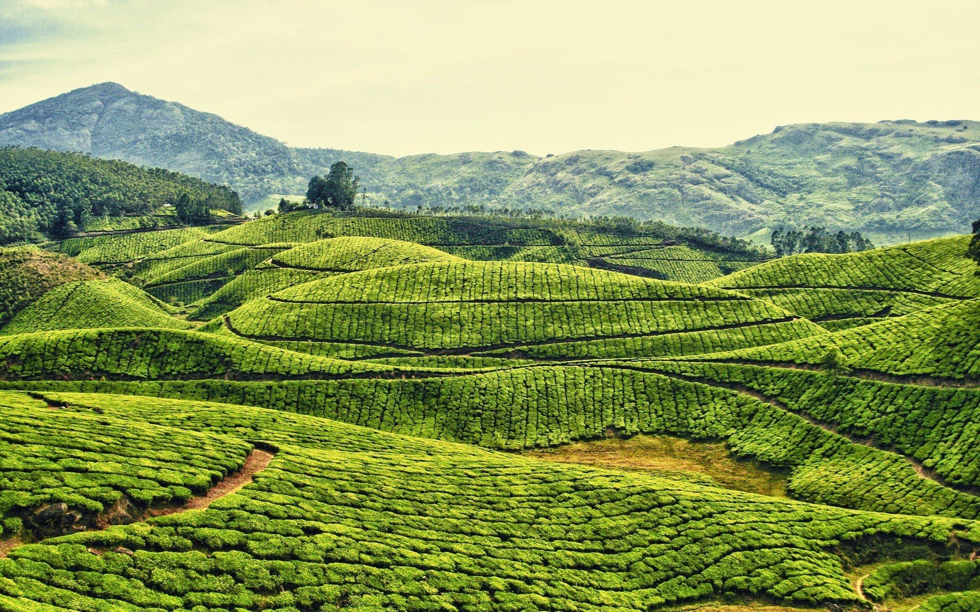 世外桃源,风景,风光,美景,旅游,儿童桌面专用