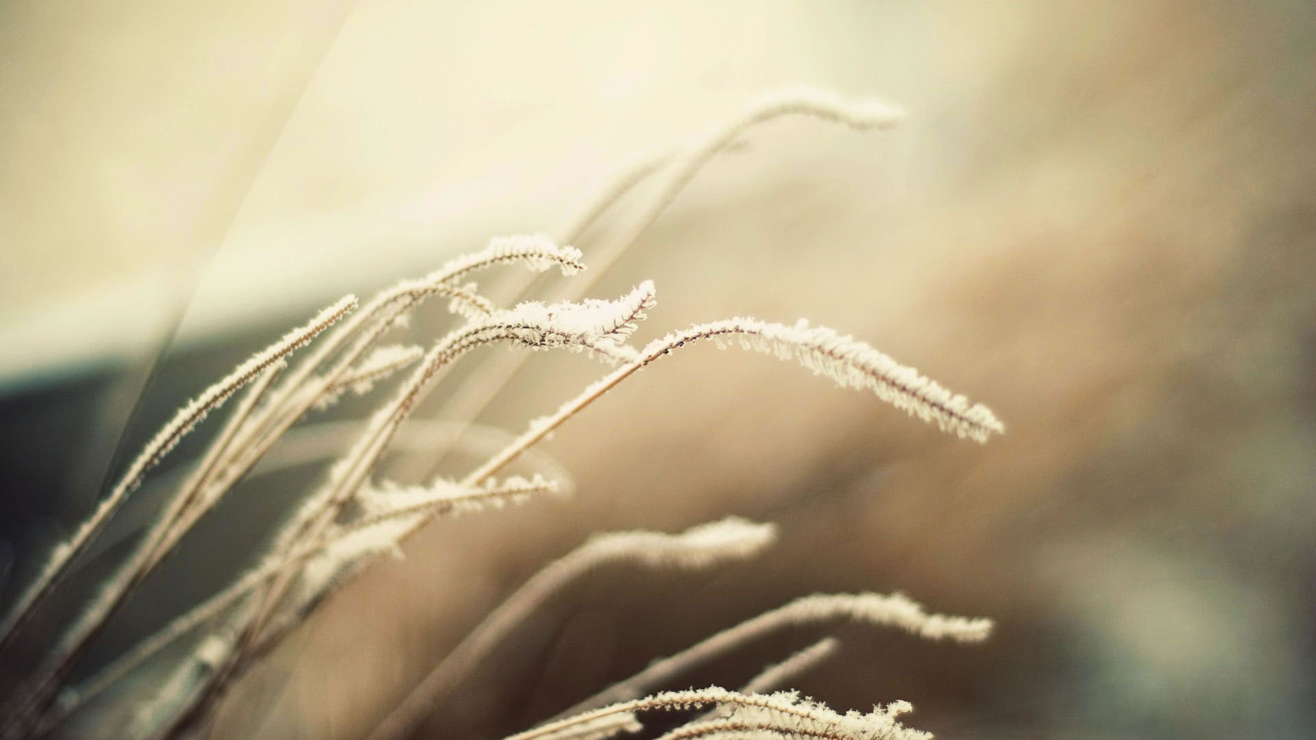 小清新,清新淡雅,2月16日,儿童桌面专用