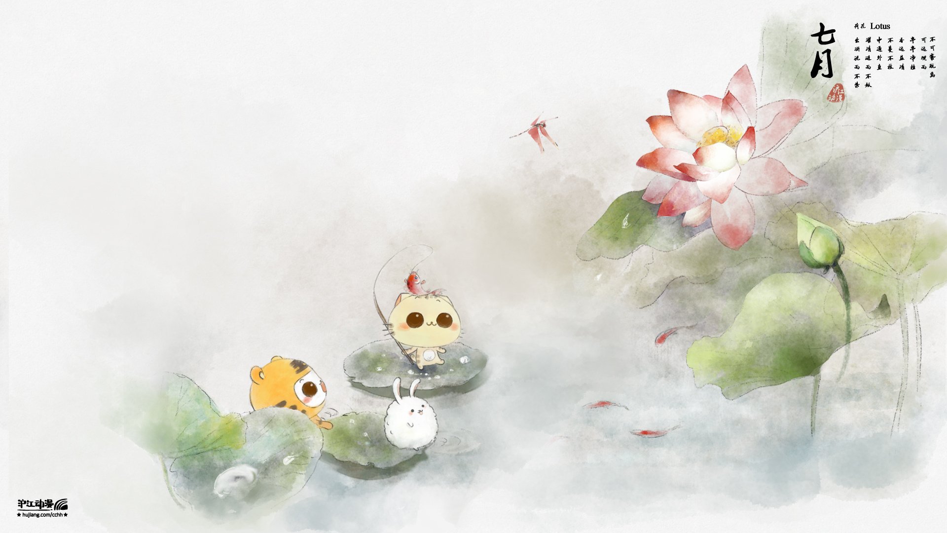 动漫,CC猫,原创,节气,CC猫七月荷花,儿童桌面专用