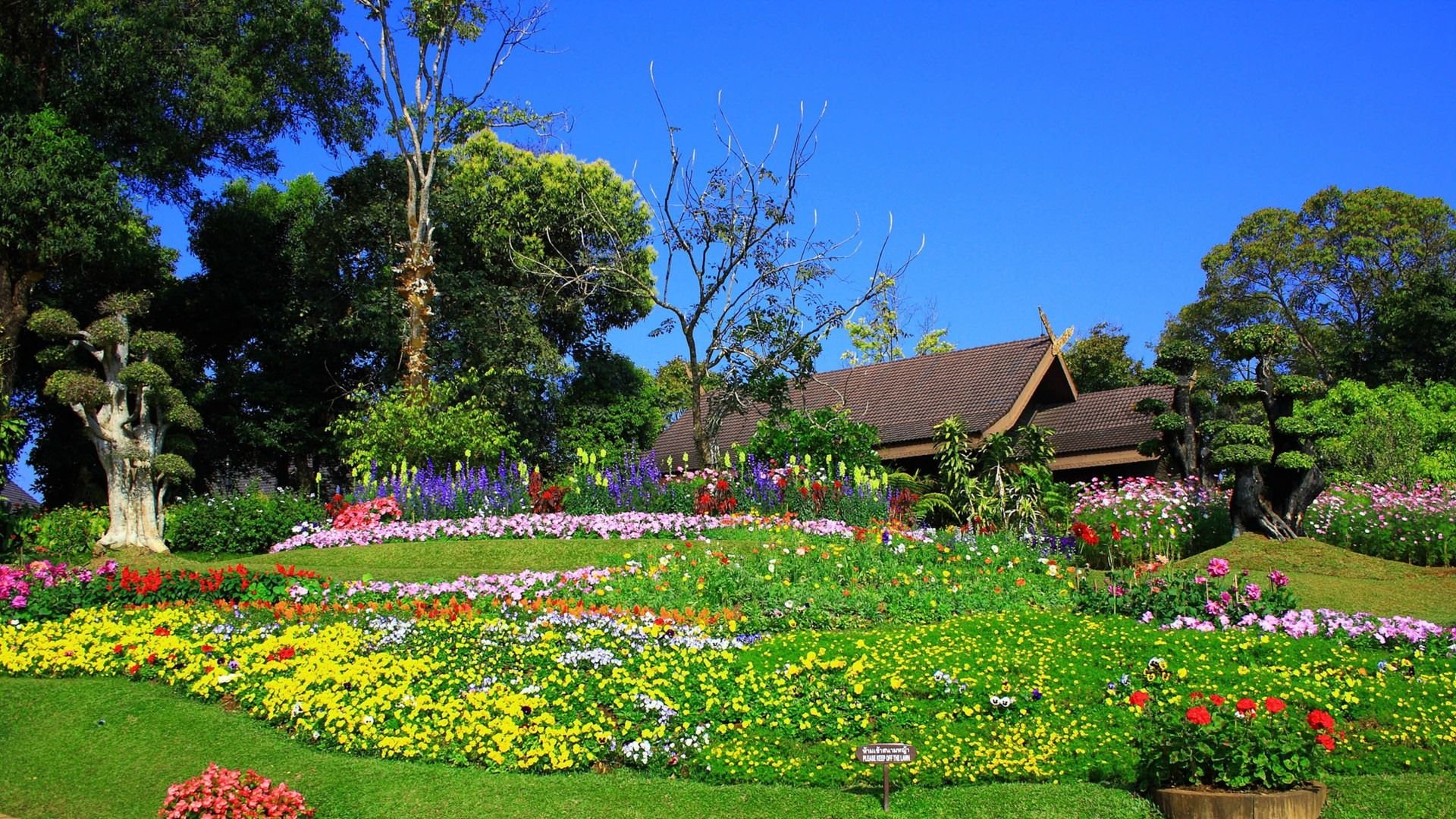 风景,风光,美景,旅游,自然,儿童桌面专用