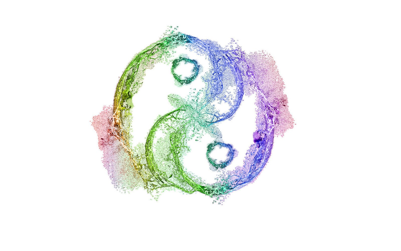 炫酷,设计,简约,太极,2月1日,儿童桌面专用