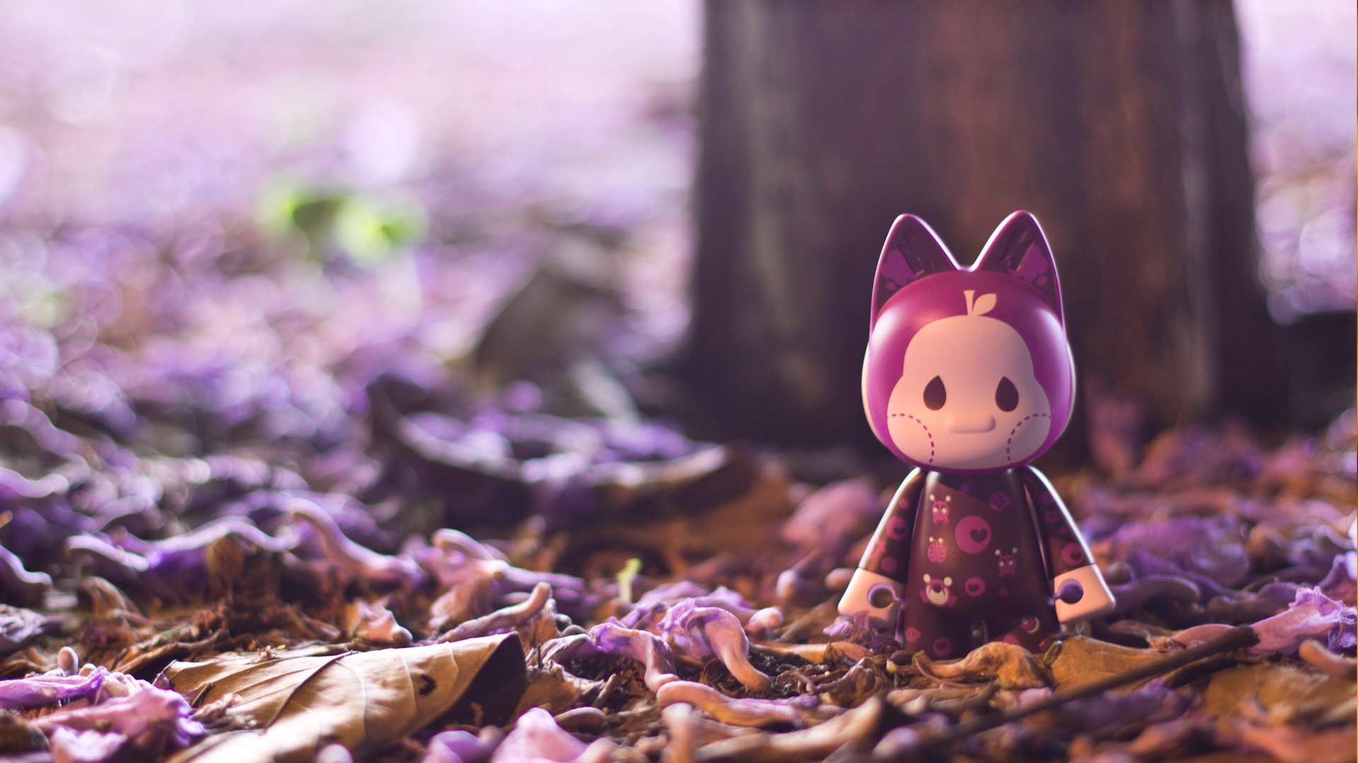 小清新,静物写真,猫无双,公仔,2月25日,儿童桌面专用