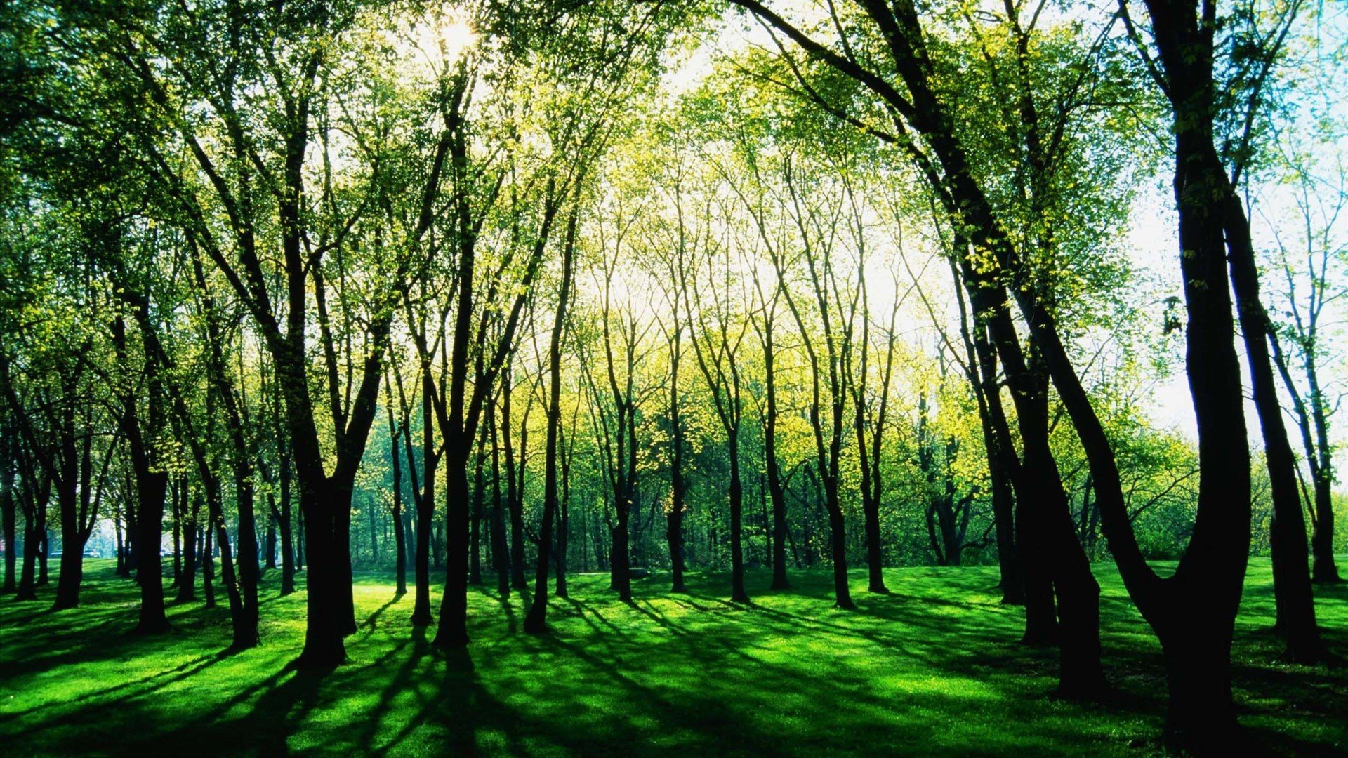 秀丽景色,风景,风光,美景,旅游,自然,儿童桌面专用