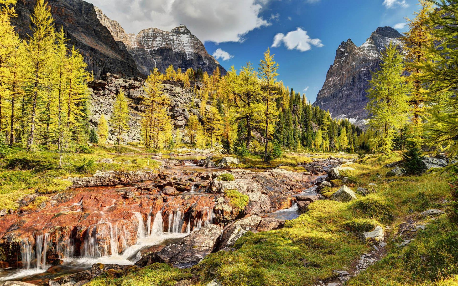 风景,风光,大自然,美景,旅游,加拿大,幽鹤,国家公园,儿童桌面专用