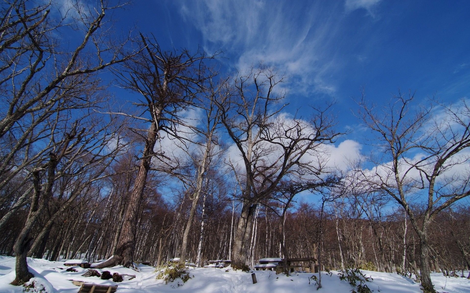风景,风光,美景,旅游,自然,儿童桌面专用