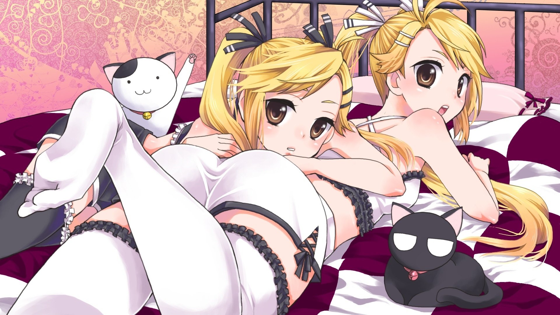 动漫,动漫少女,可爱,猫愿三角恋