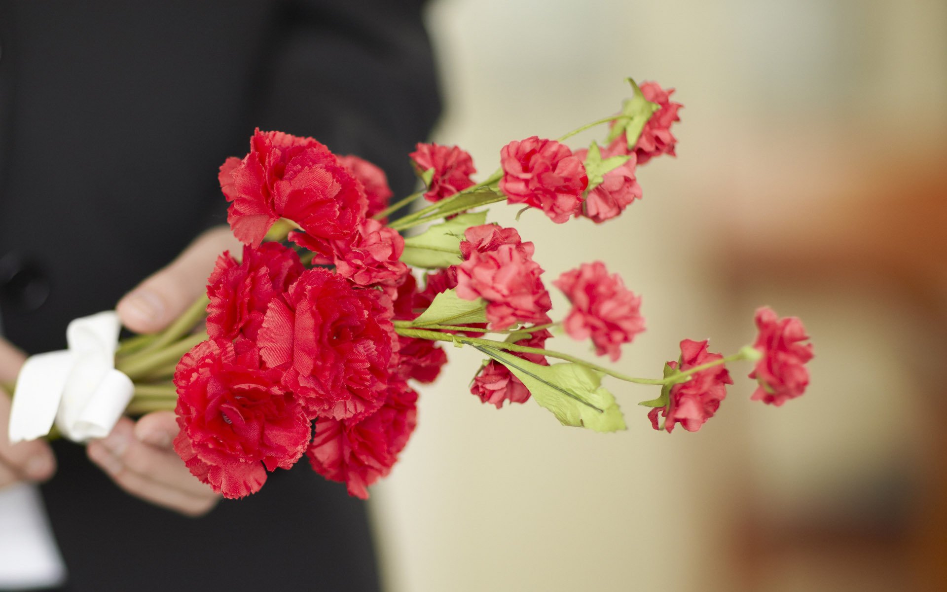 小清新,温馨一刻,花卉,2月25日,儿童桌面专用