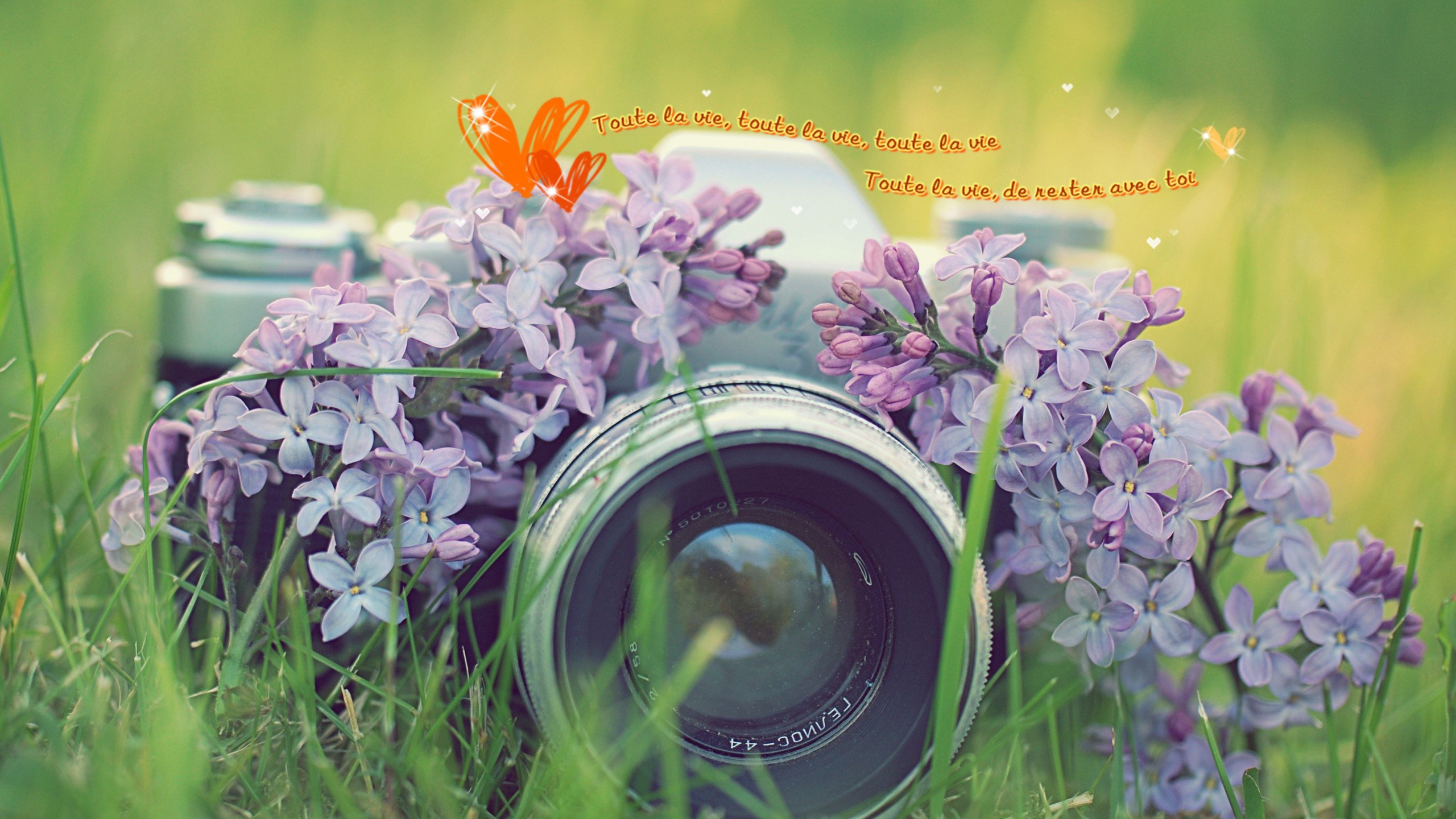 爱情美图,唯美温馨,相机