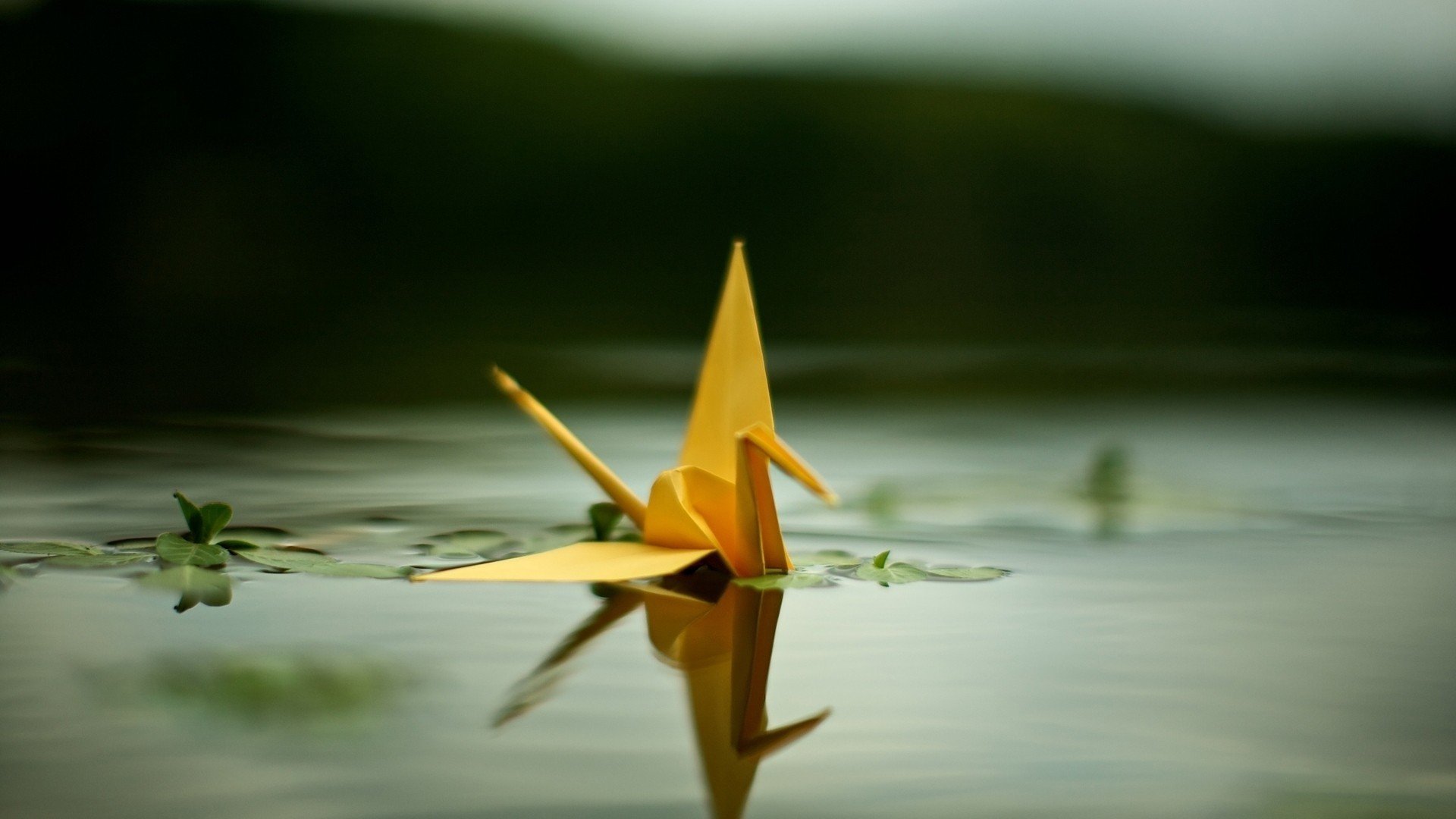 小清新,舒缓压力,纸鹤,2月4日,儿童桌面专用