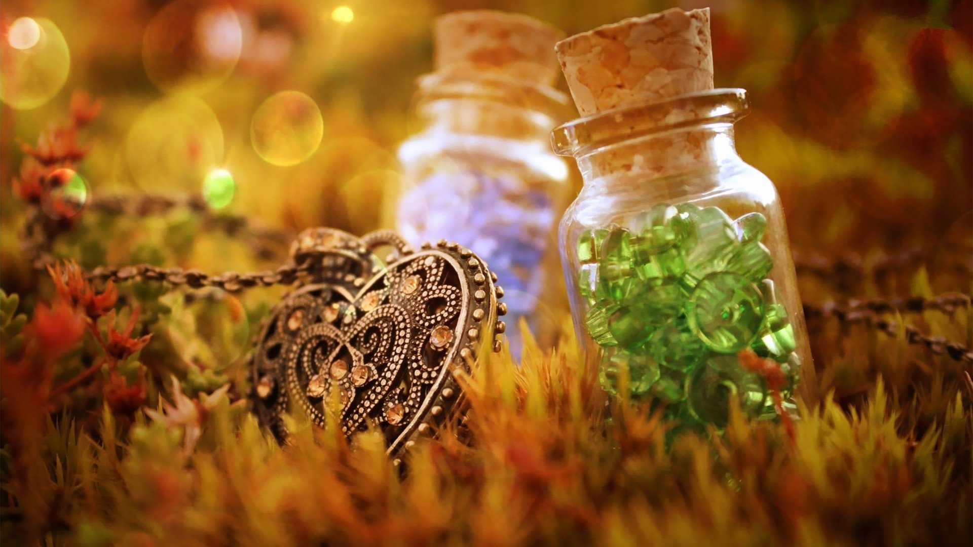 小清新,静物写真,2月27日,儿童桌面专用