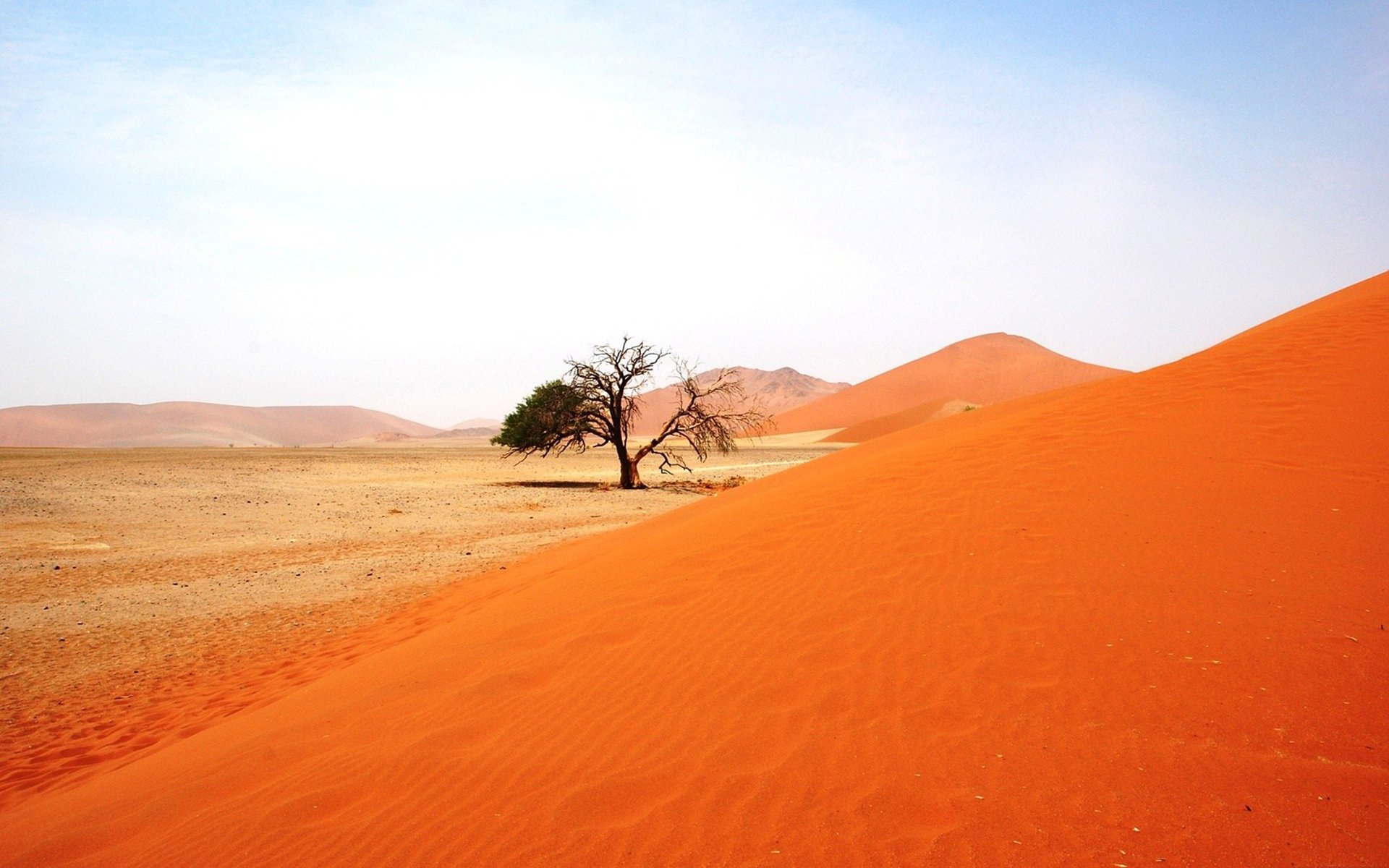 自然风光,风景,风光,美景,旅游,自然,儿童桌面专用