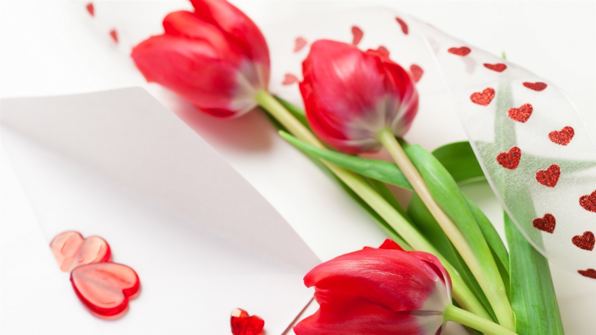 小清新,静物写真,郁金香,2月22日,儿童桌面专用