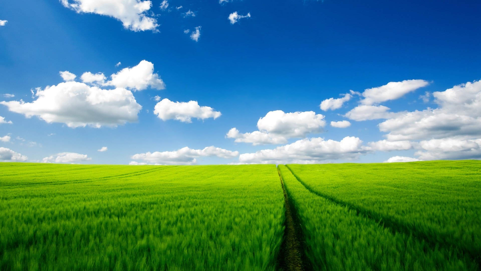 小清新,清新淡雅,蓝天白云,2月4日,儿童桌面专用