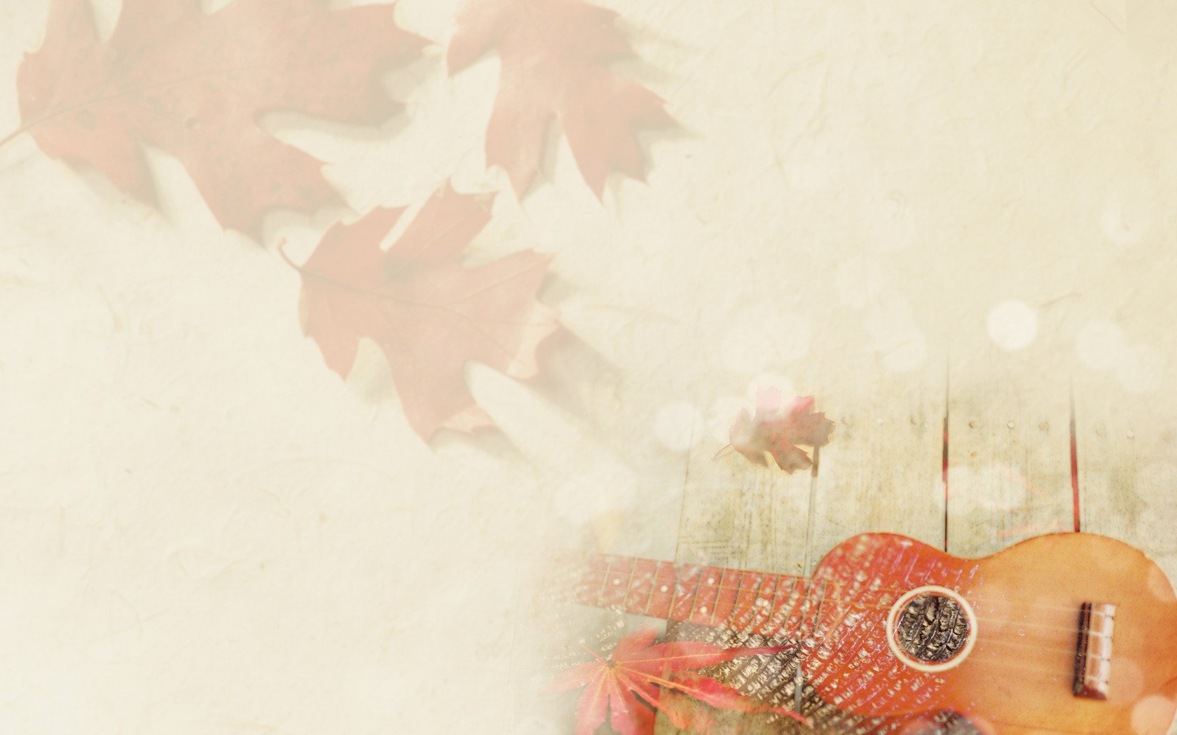 小清新,静物写真,吉他,2月1日,儿童桌面专用