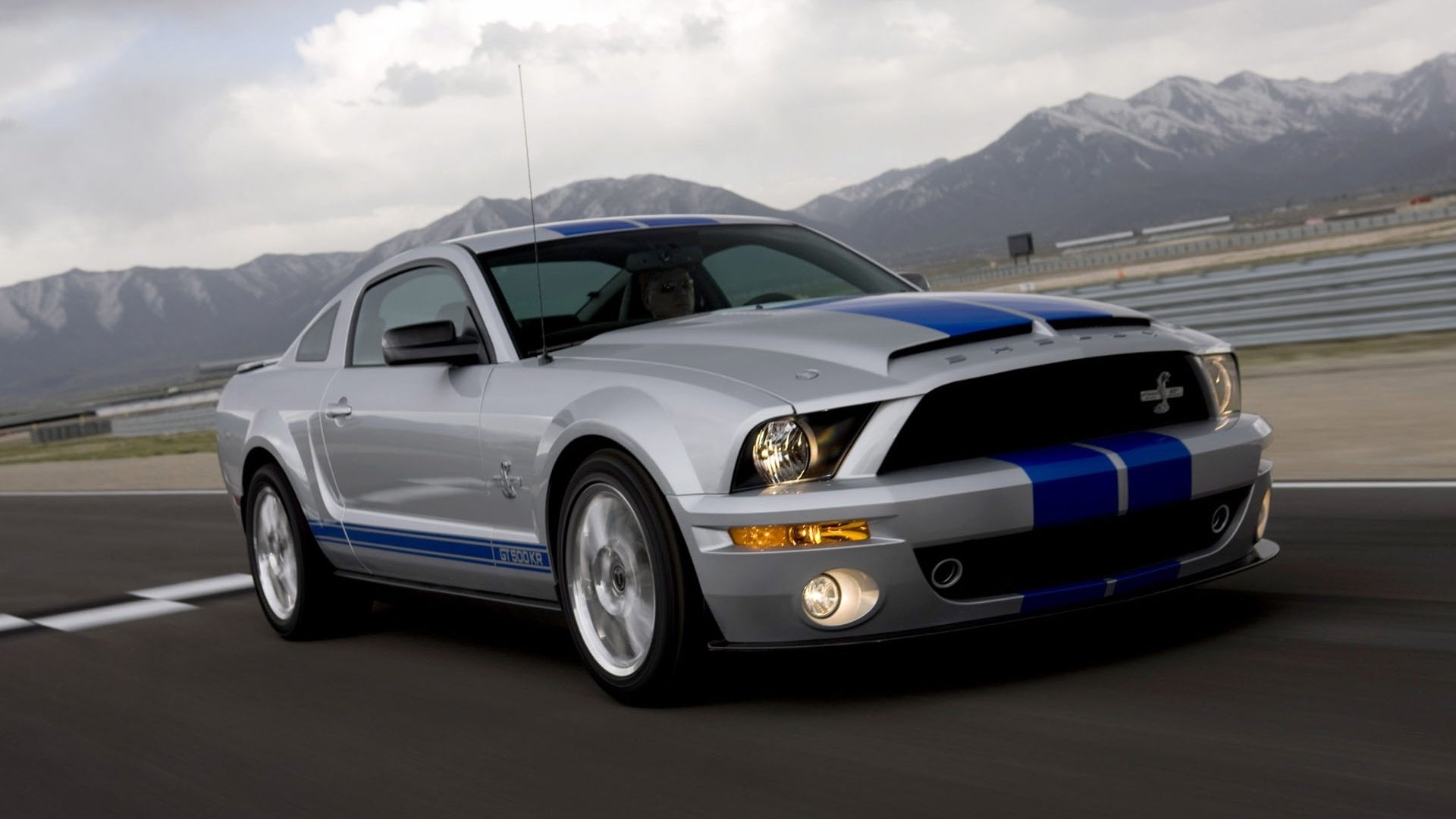 汽车,超跑,福特,野马,眼镜蛇,谢尔比,shelby,GT500,儿童桌面专用