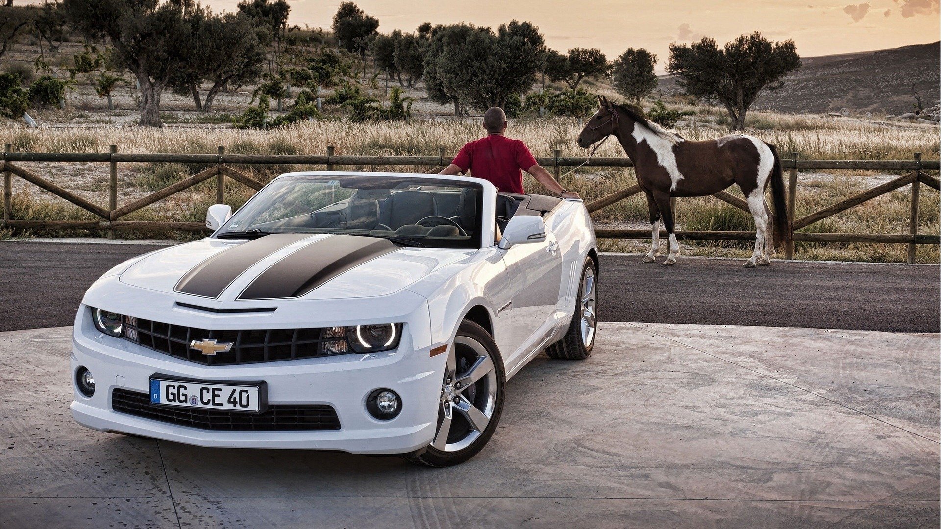 汽车,超跑,雪佛兰,科迈罗,大黄蜂,敞篷版,儿童桌面专用