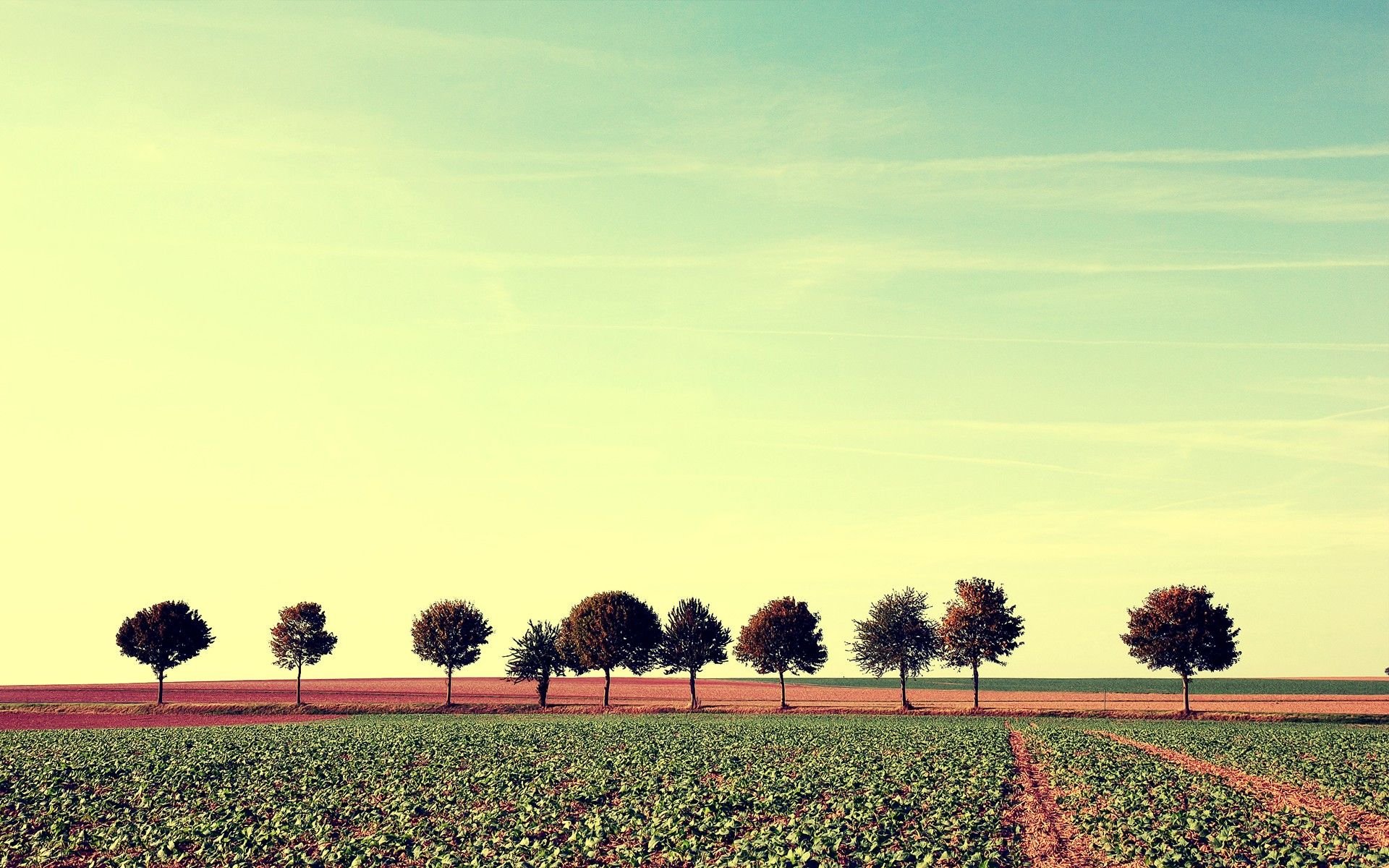 风景,美景,大气,景色,草地,田野,儿童桌面专用