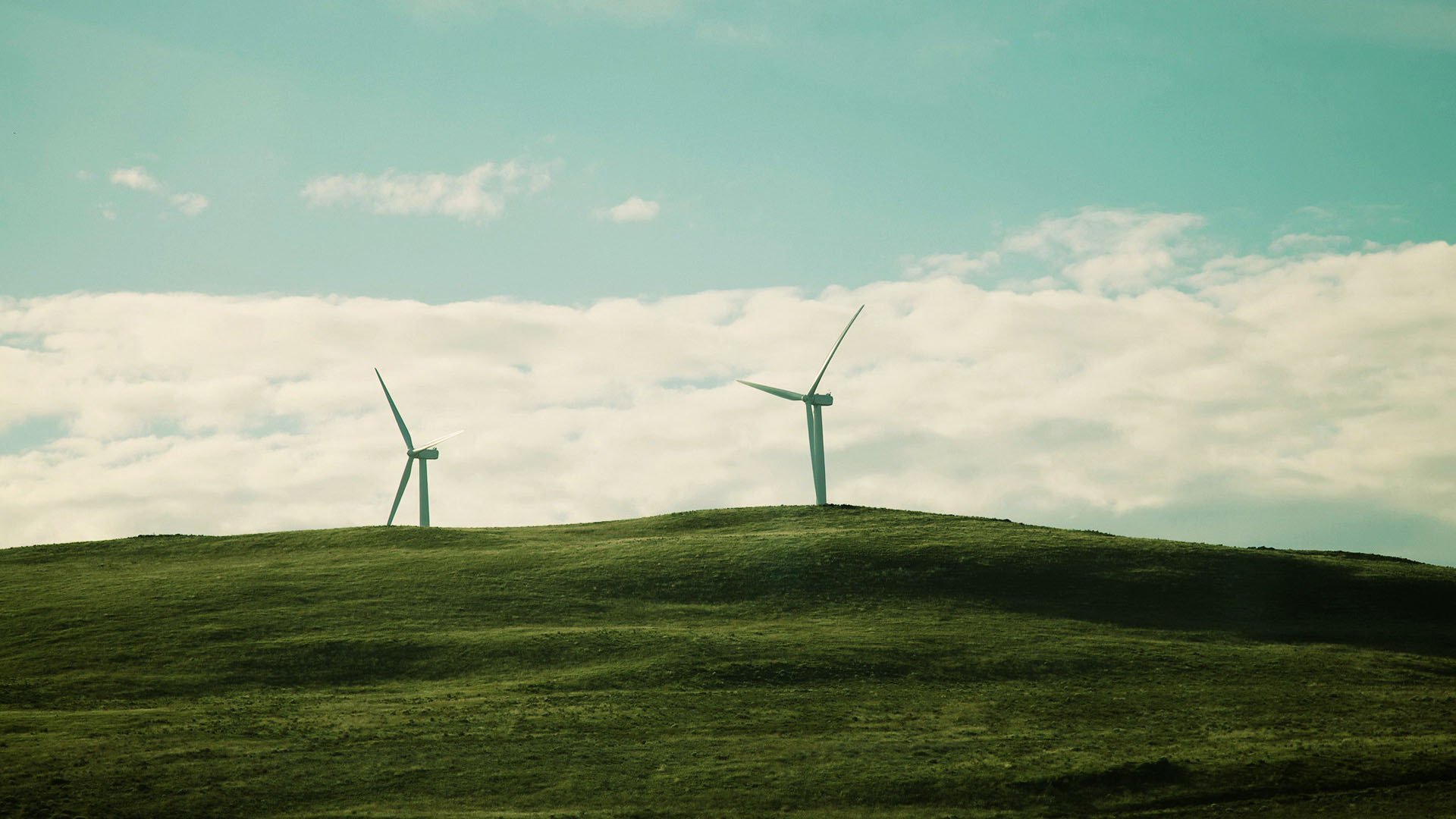小清新,静物写真,风车,2月16日,儿童桌面专用