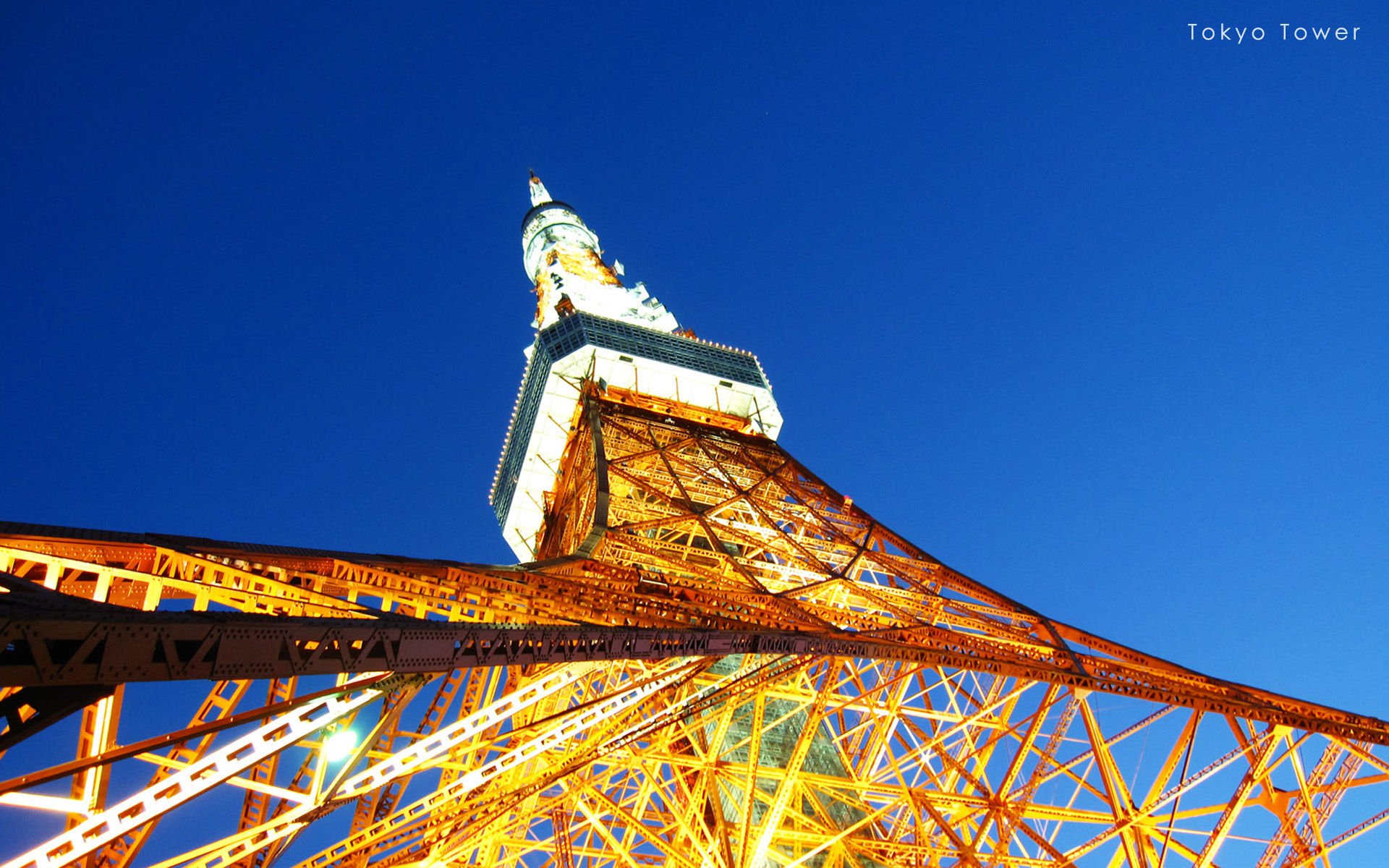 东京塔,风景,风光,美景,旅游,儿童桌面专用