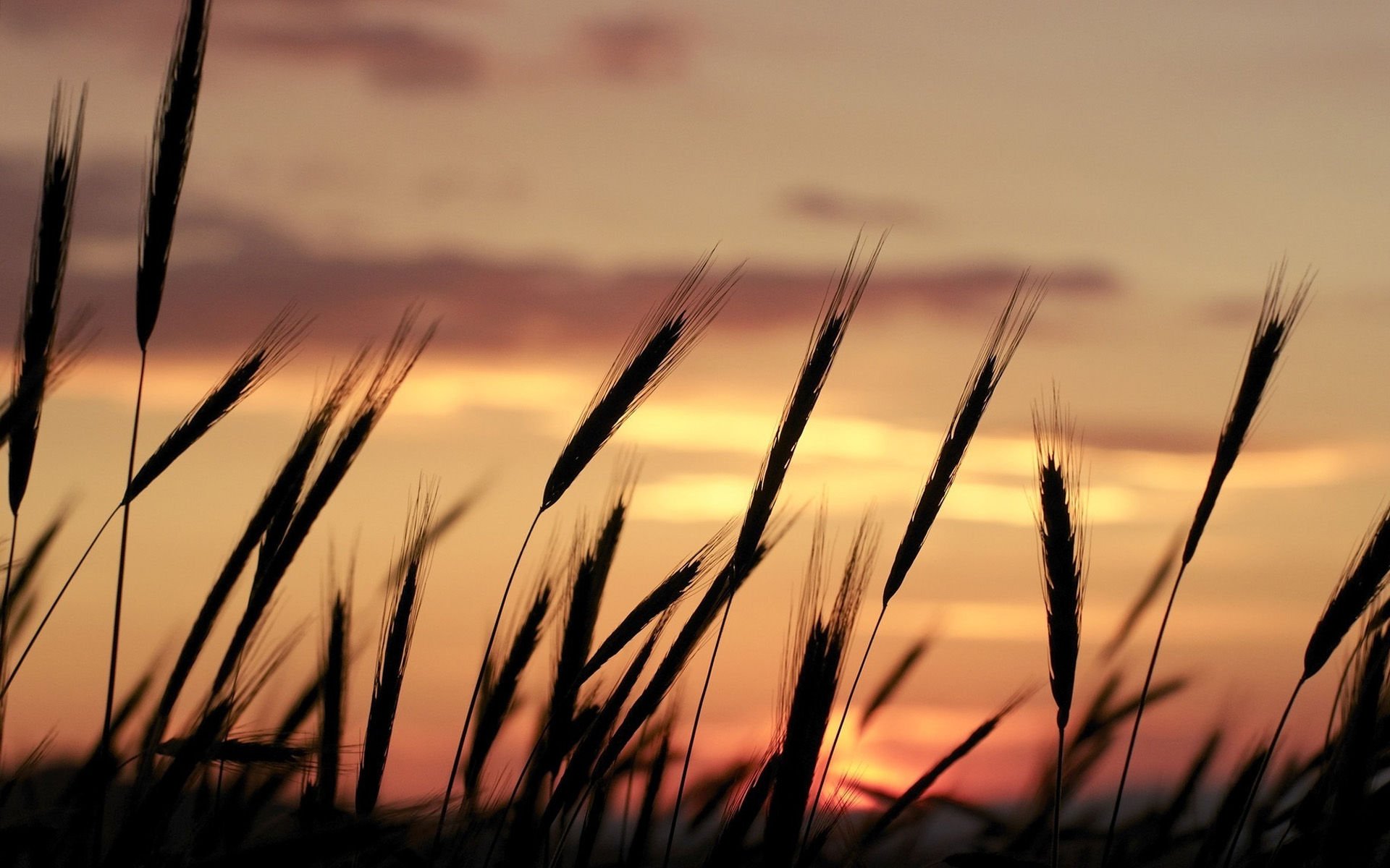 葡萄牙,风景,风光,美景,旅游,儿童桌面专用