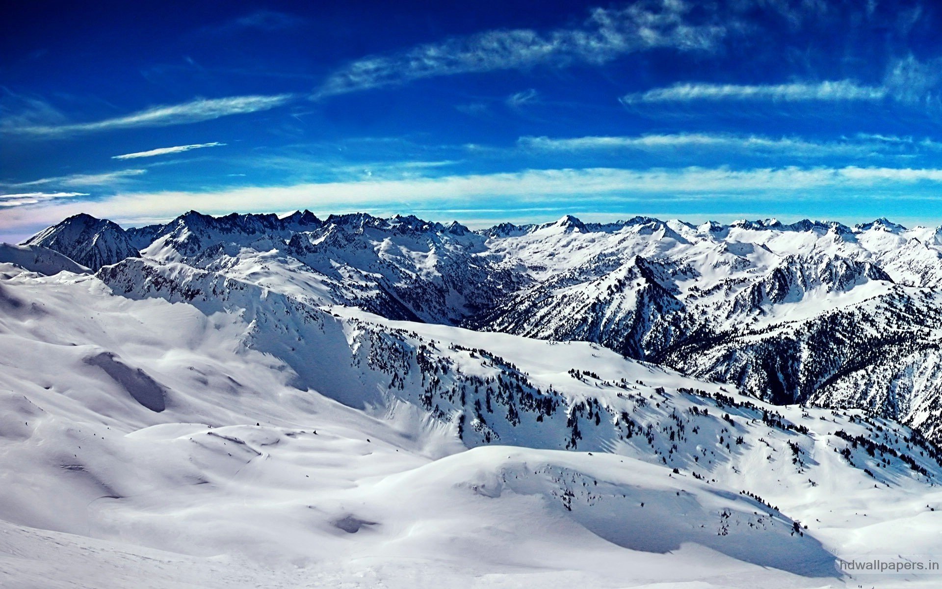 绿色,明媚,美景,旅游,自然,儿童桌面专用